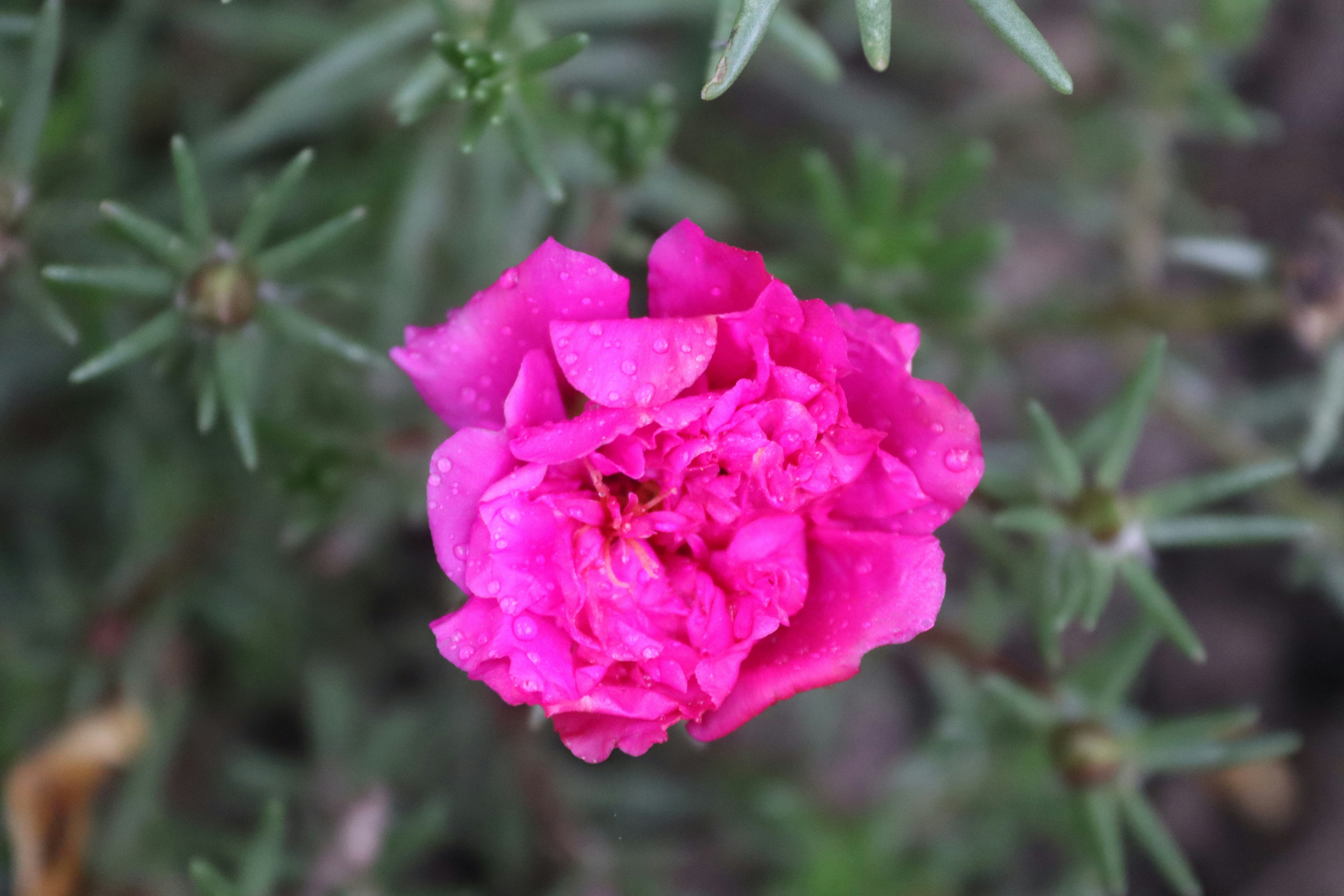 Photo by drphotographer152