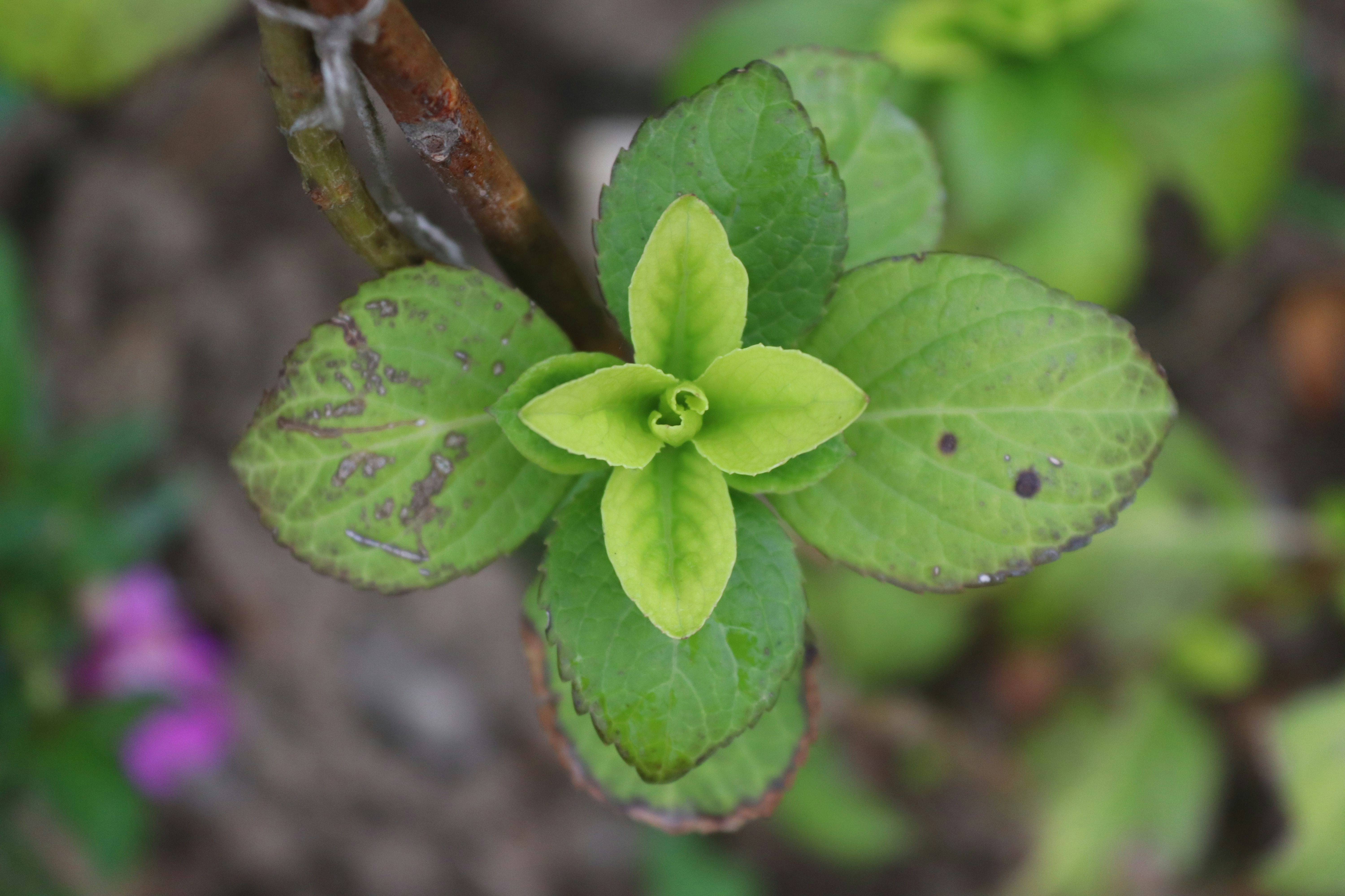 Photo by drphotographer152