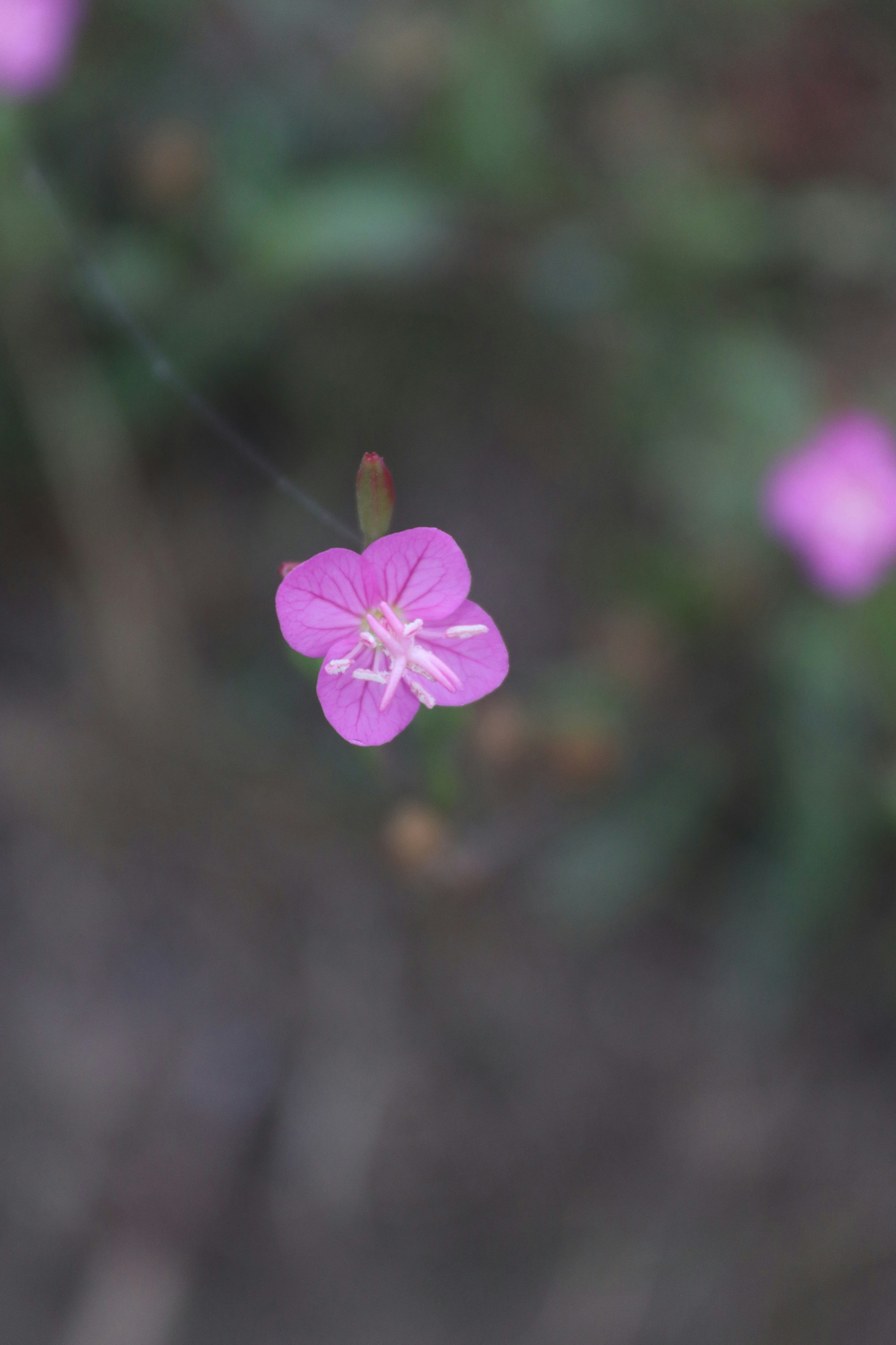 Photo by drphotographer152