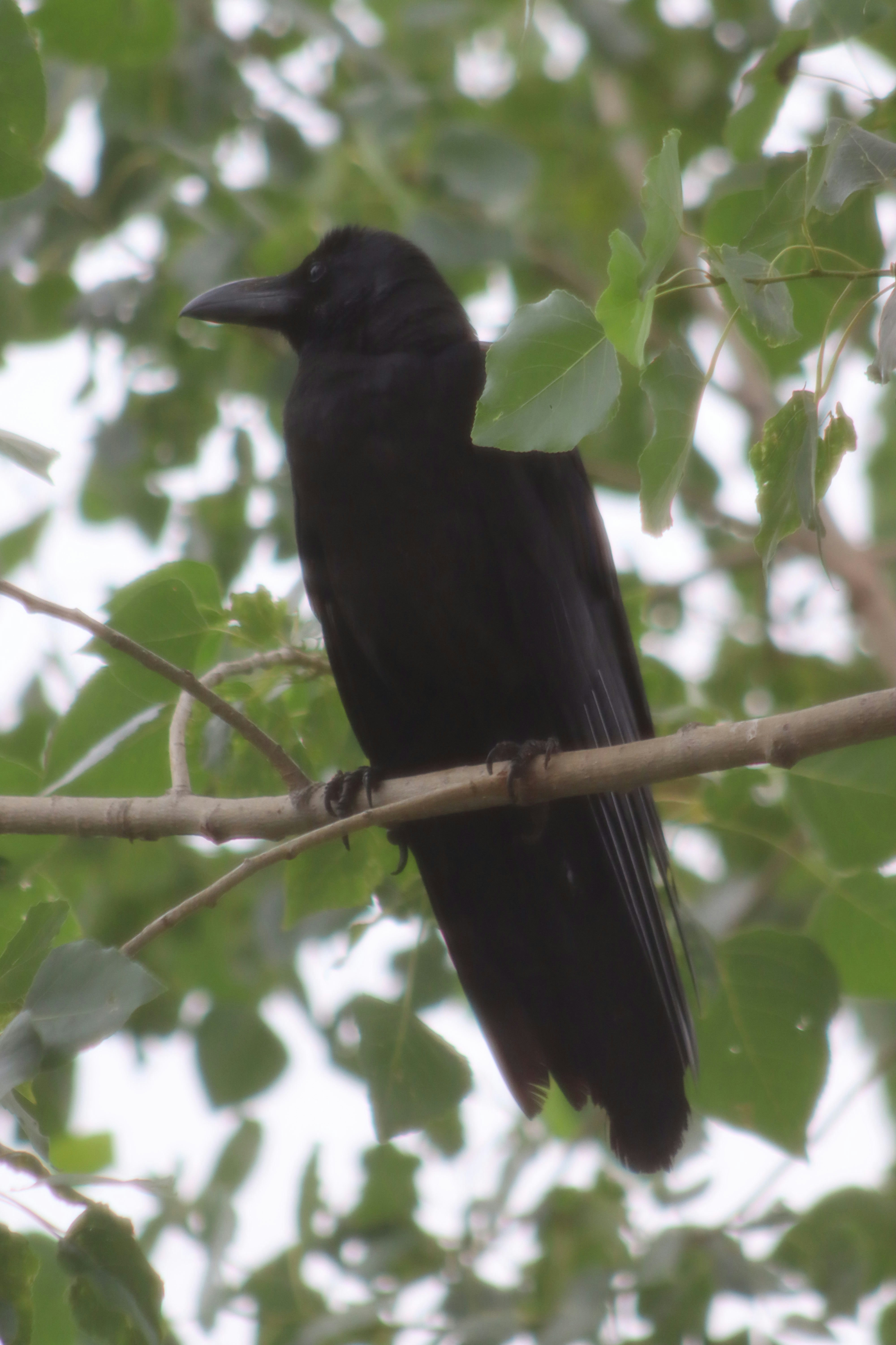 Photo by drphotographer152