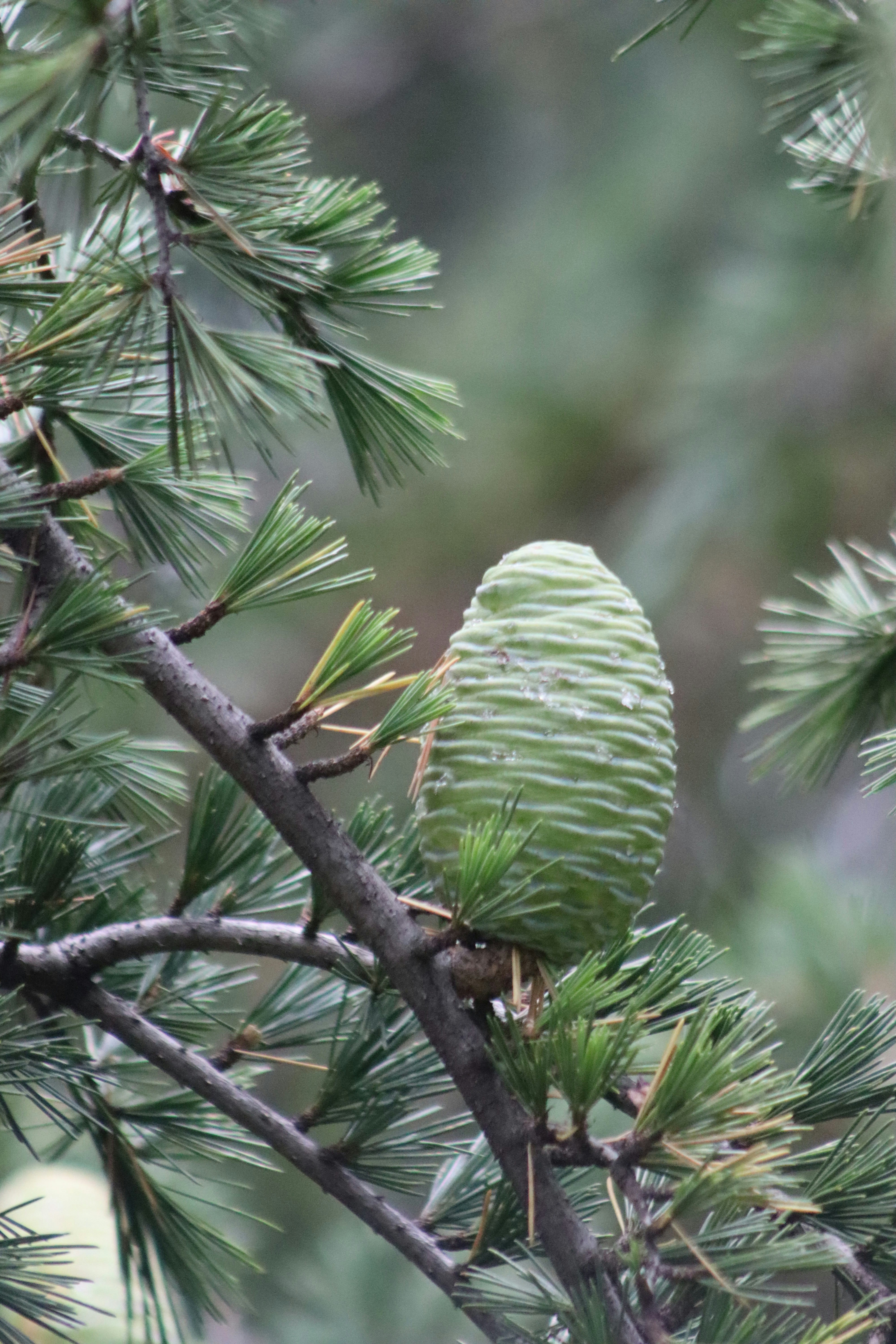 Photo by drphotographer152