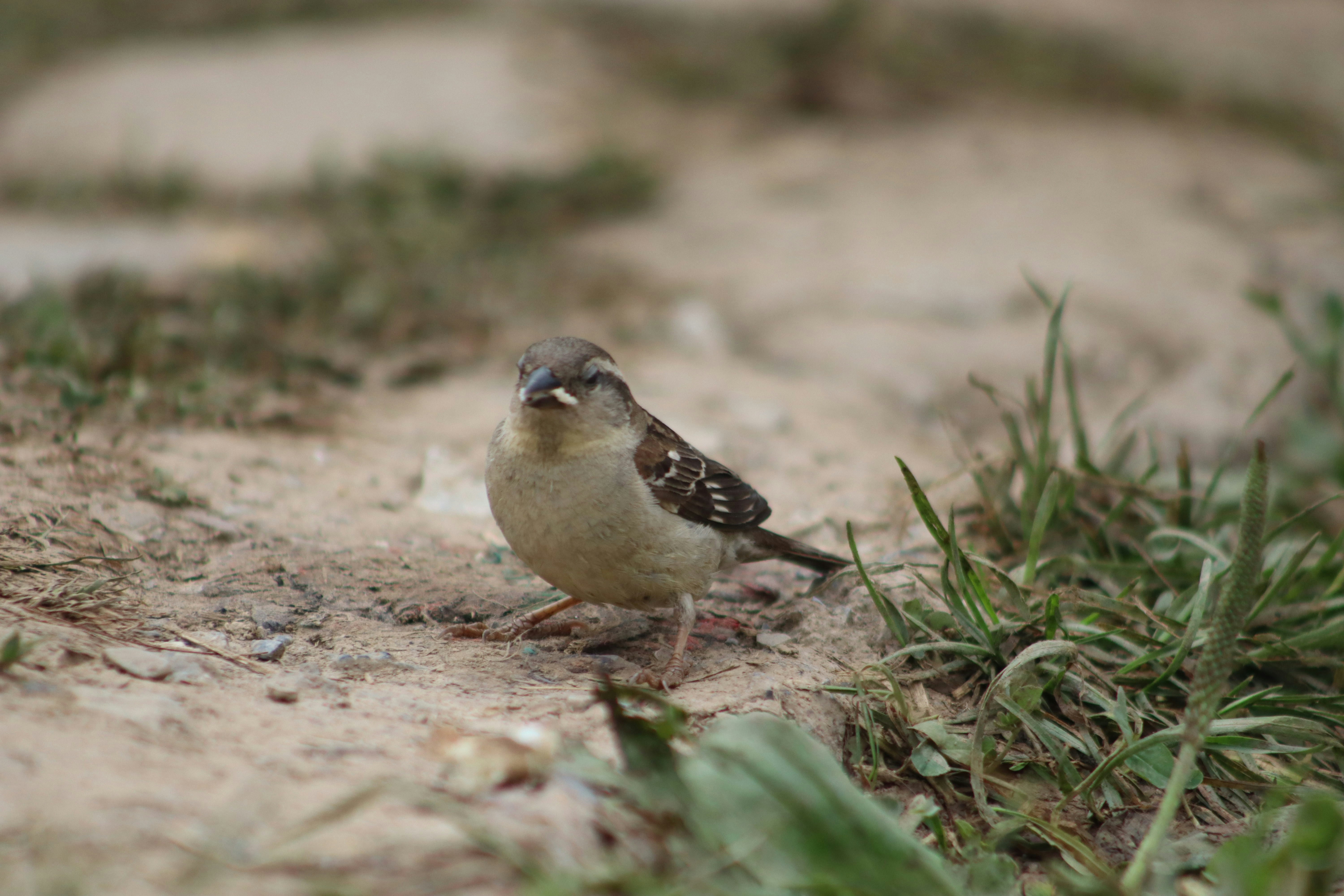 Photo by drphotographer152