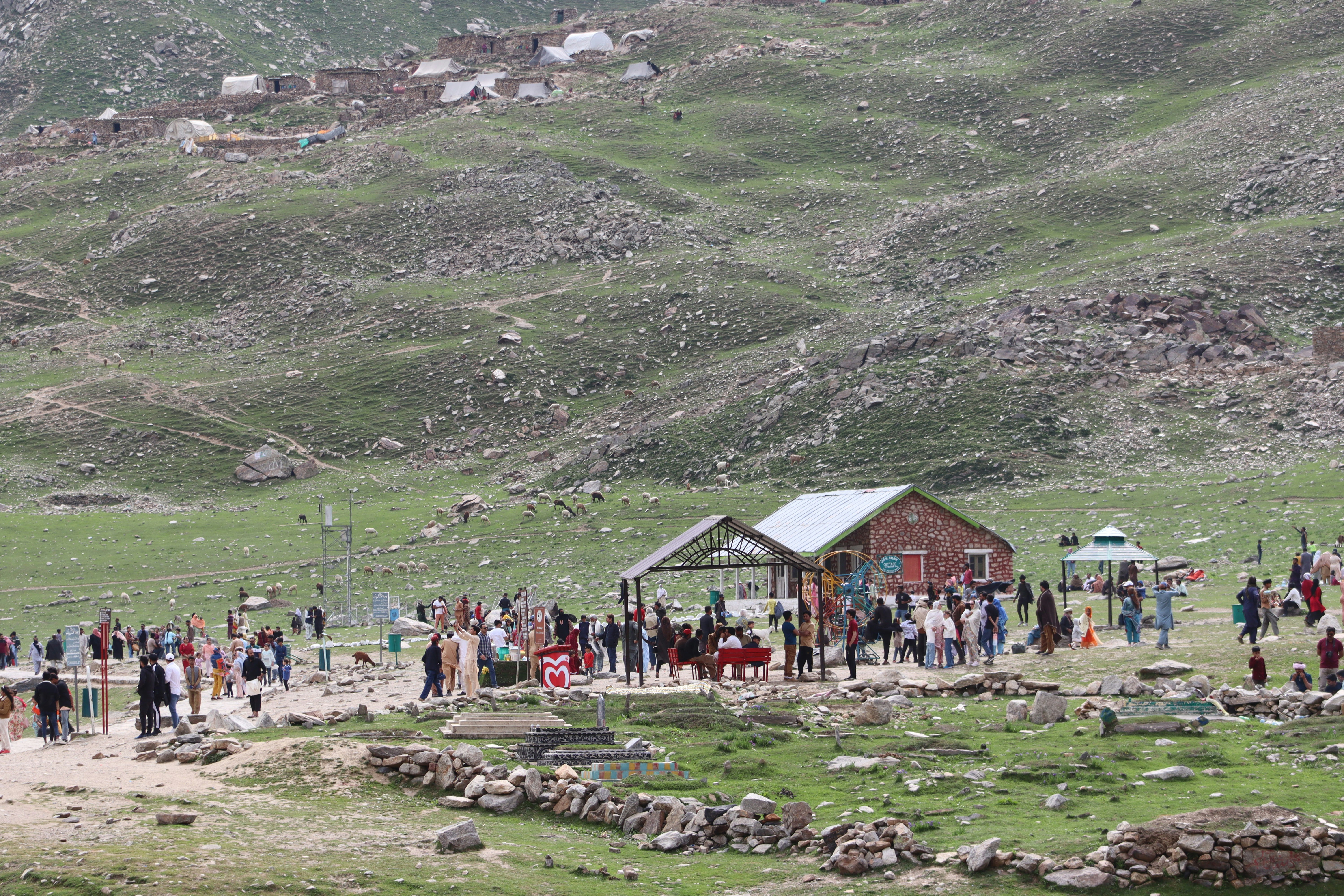 A group of people standing on top of a lush green hillside