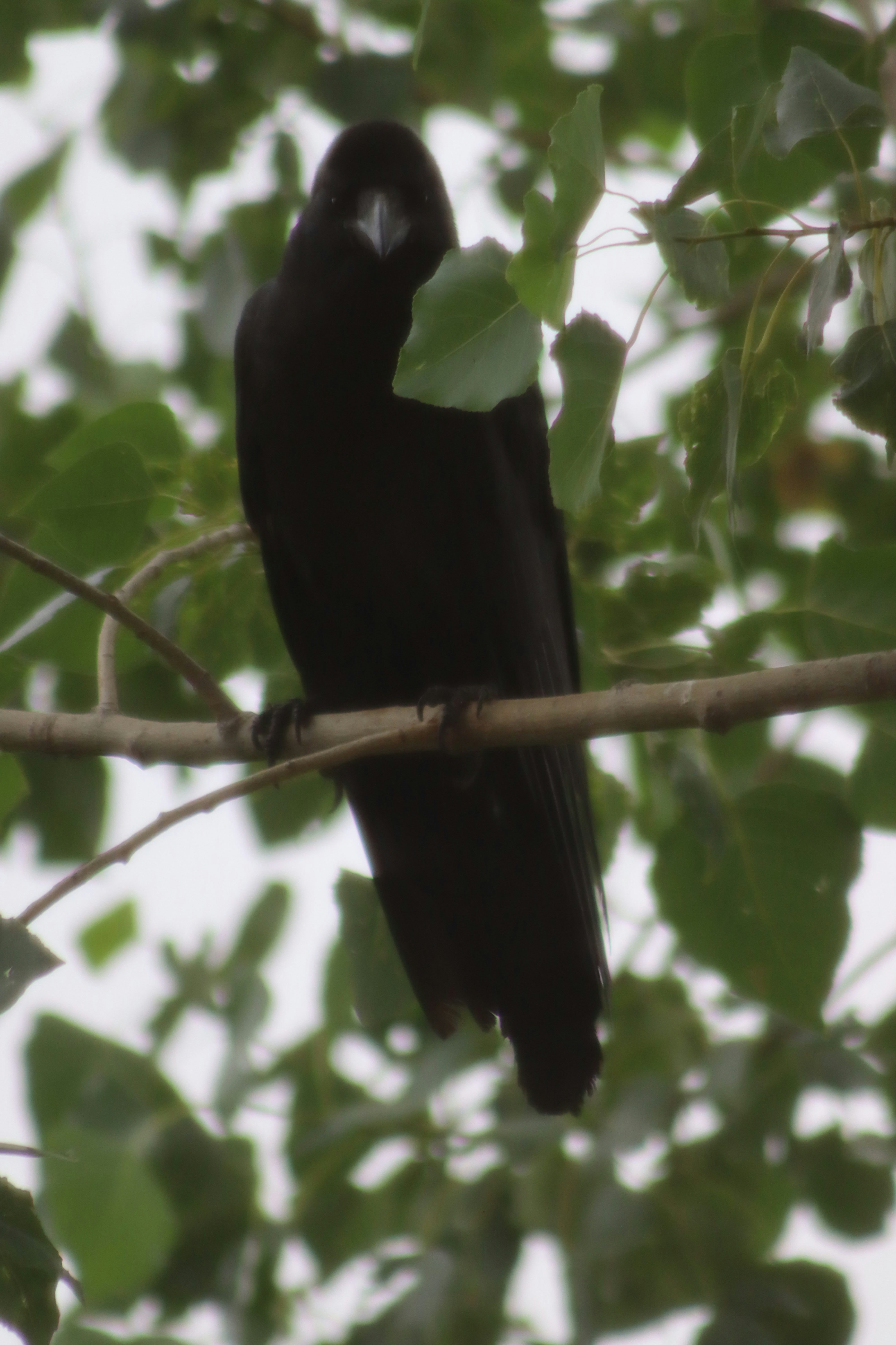 Photo by drphotographer152