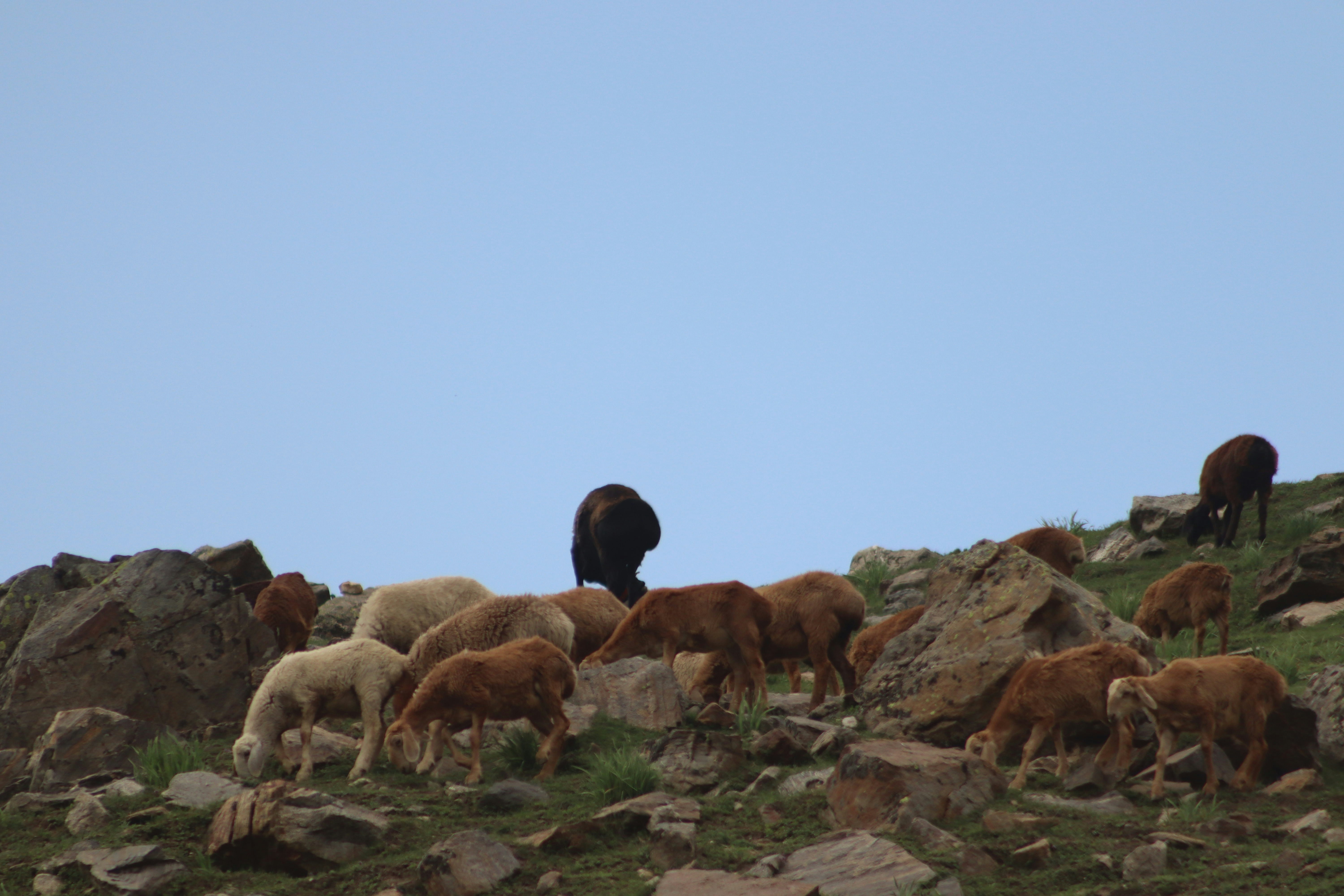 Photo by drphotographer152