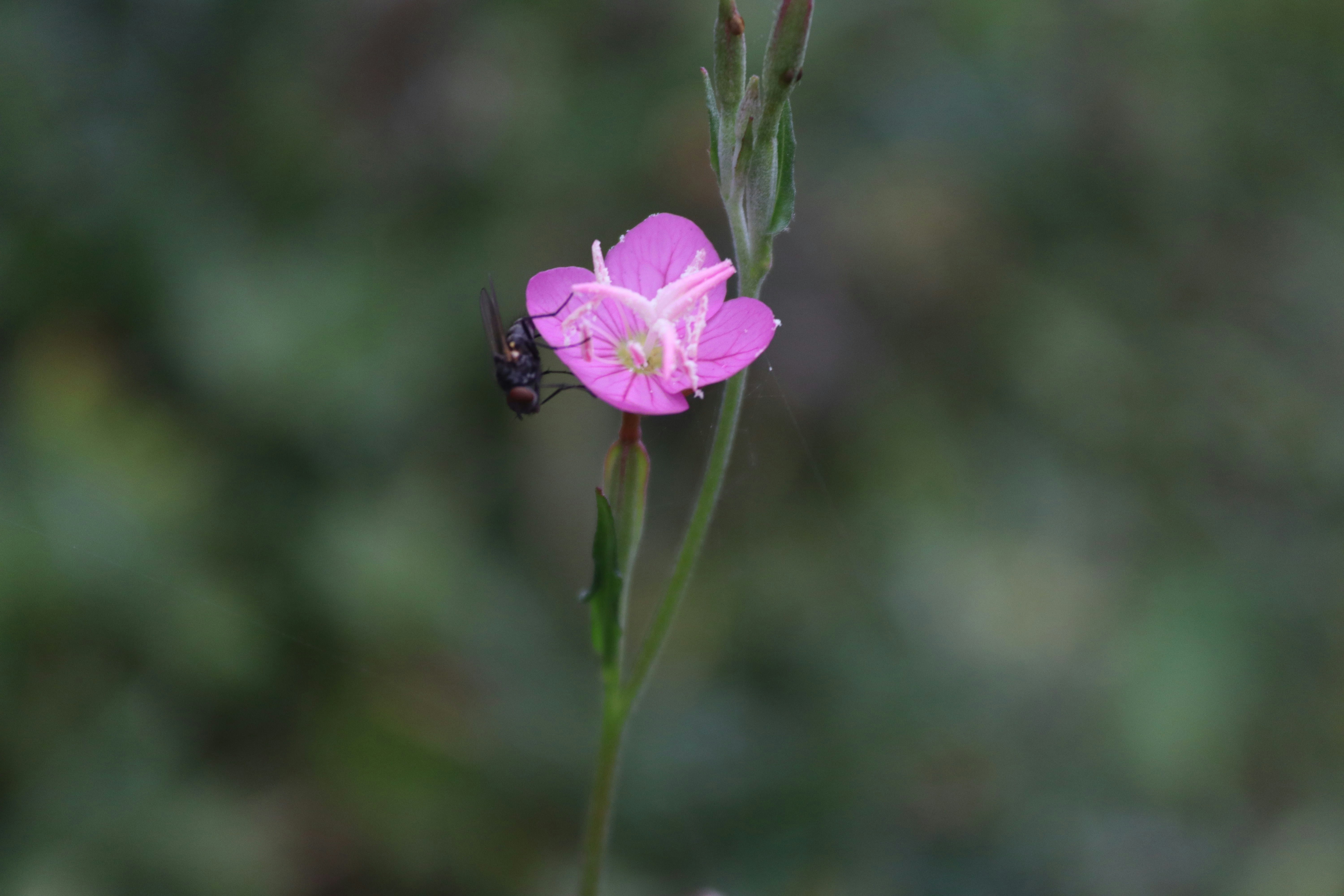 Photo by drphotographer152