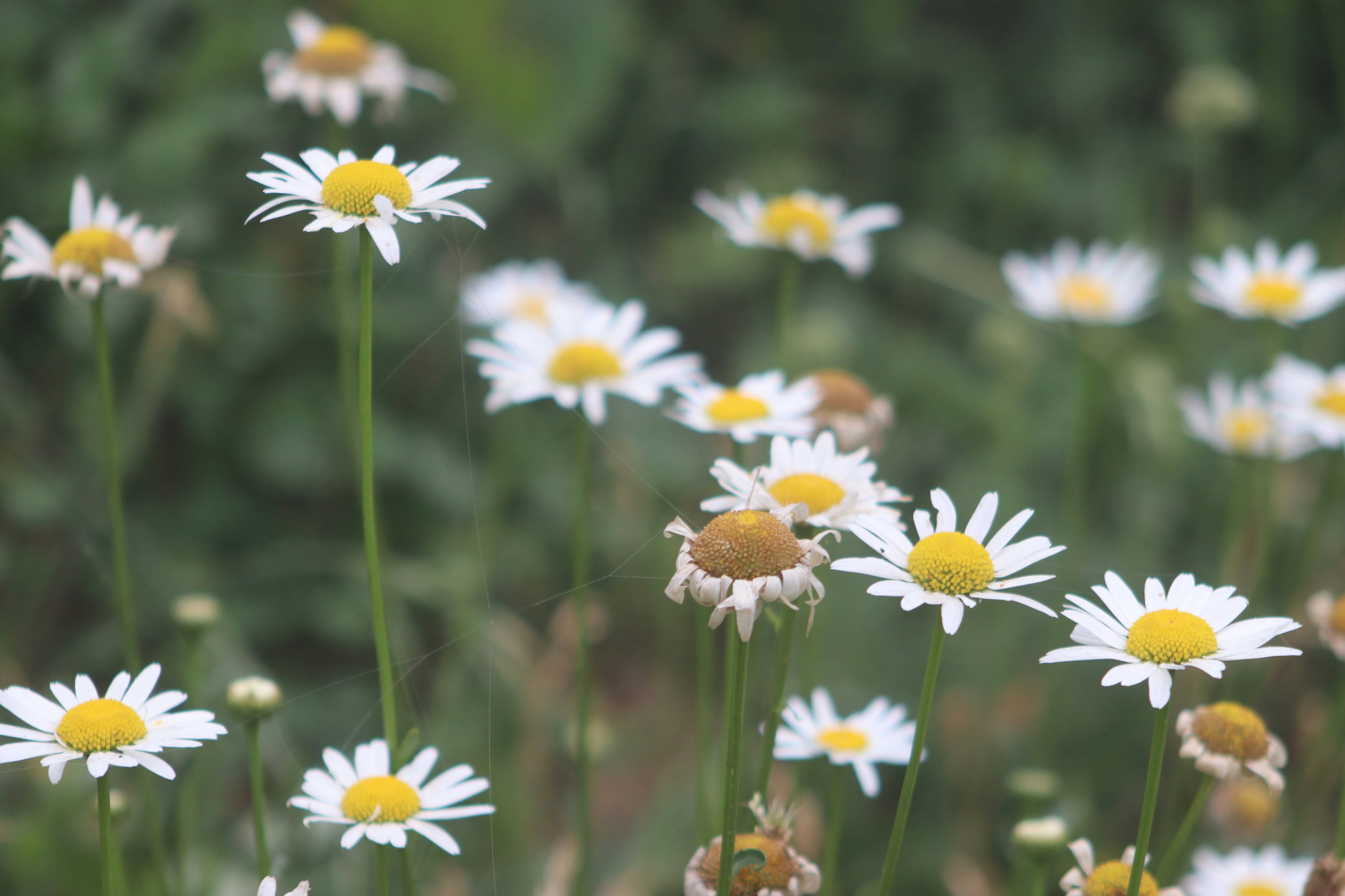 Photo by drphotographer152