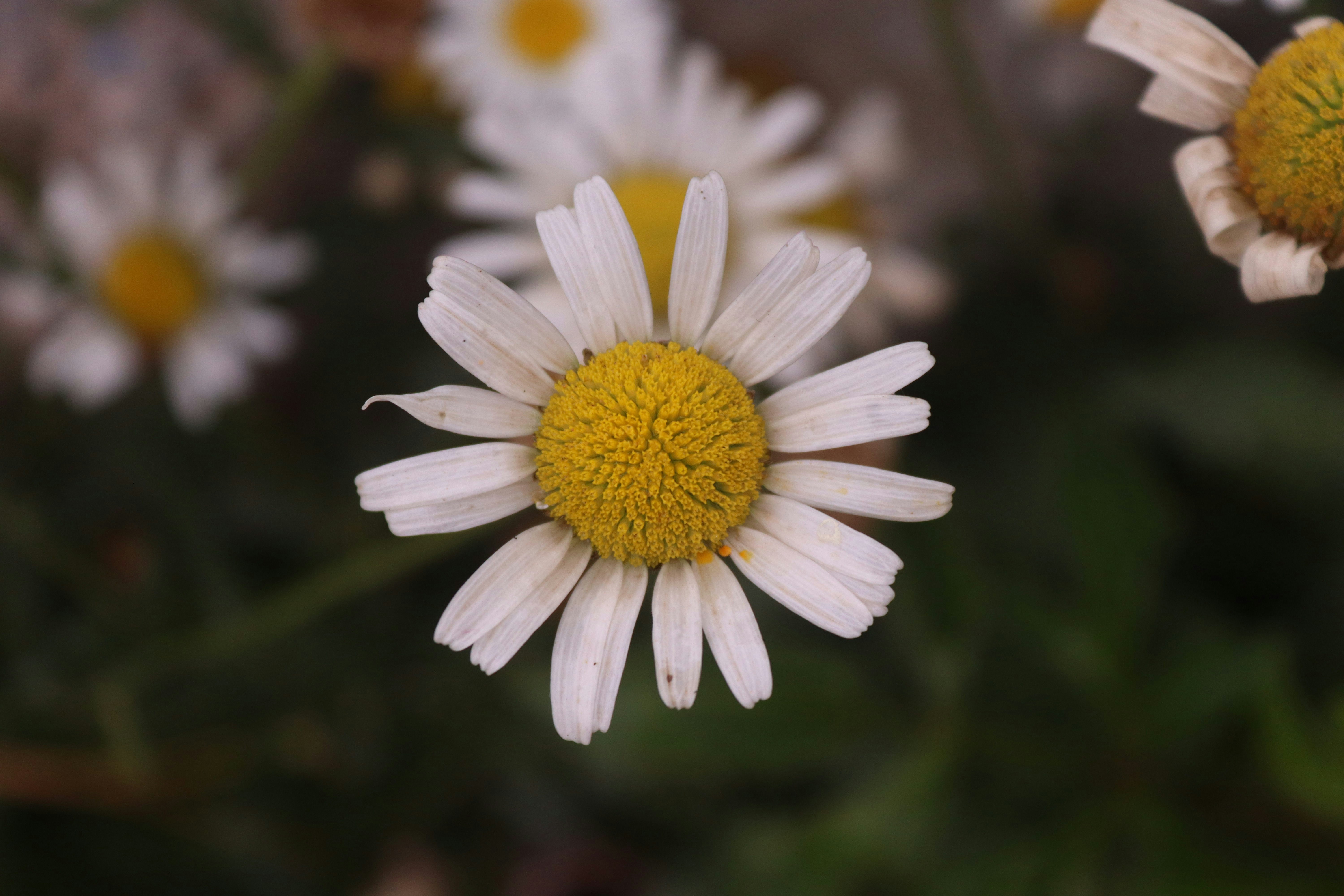 Photo by drphotographer152