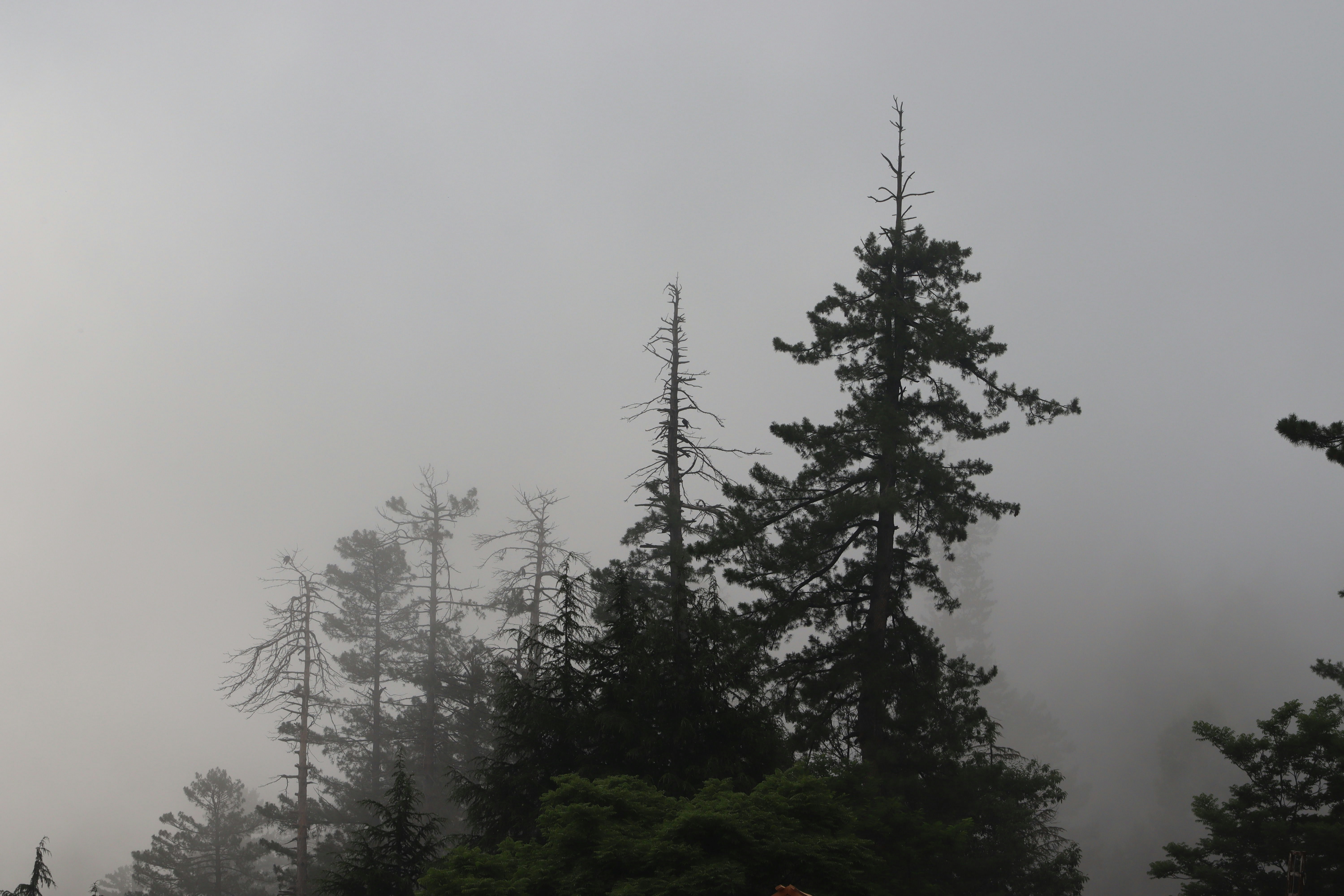 Photo by drphotographer152