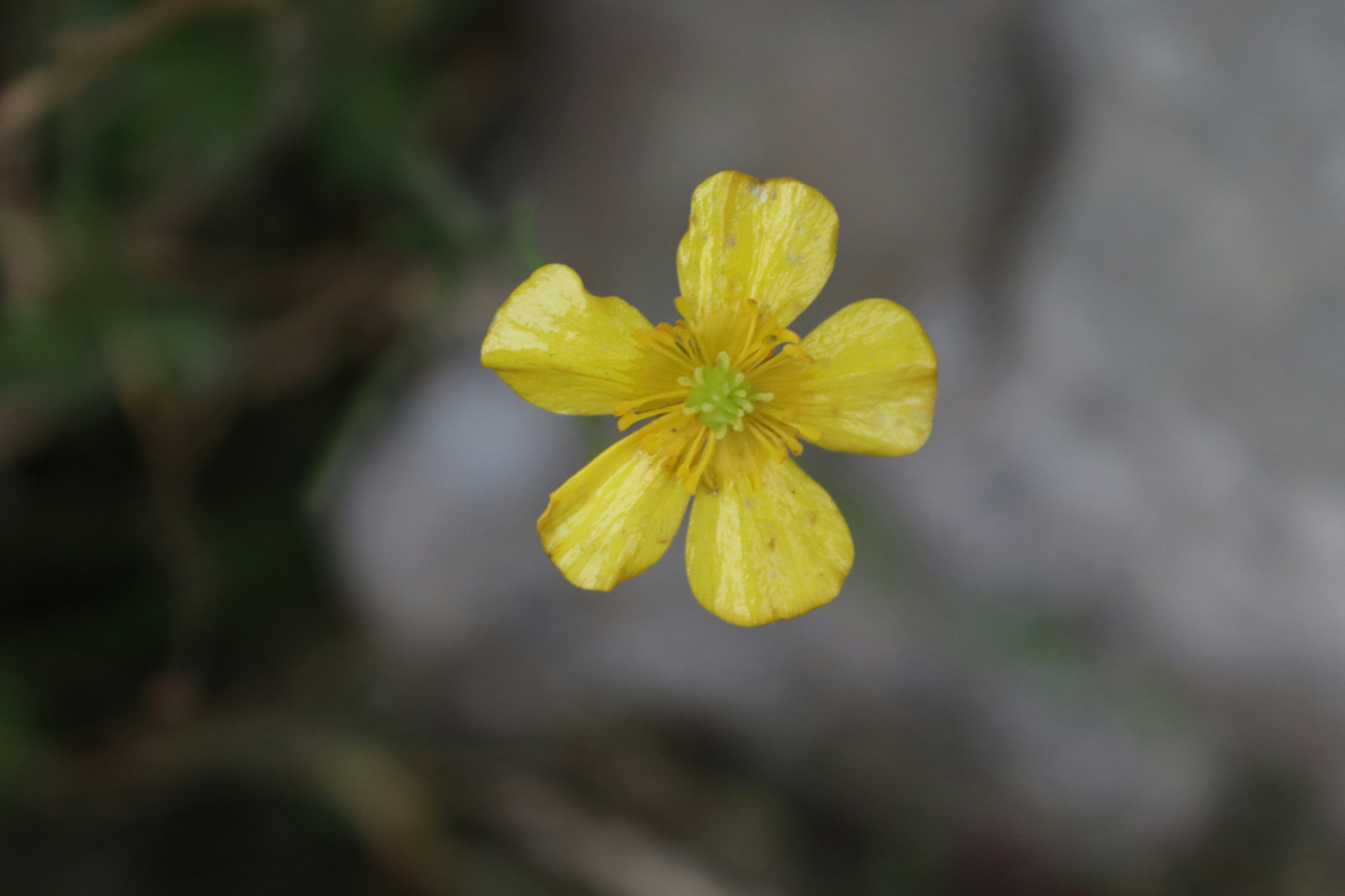 Photo by drphotographer152