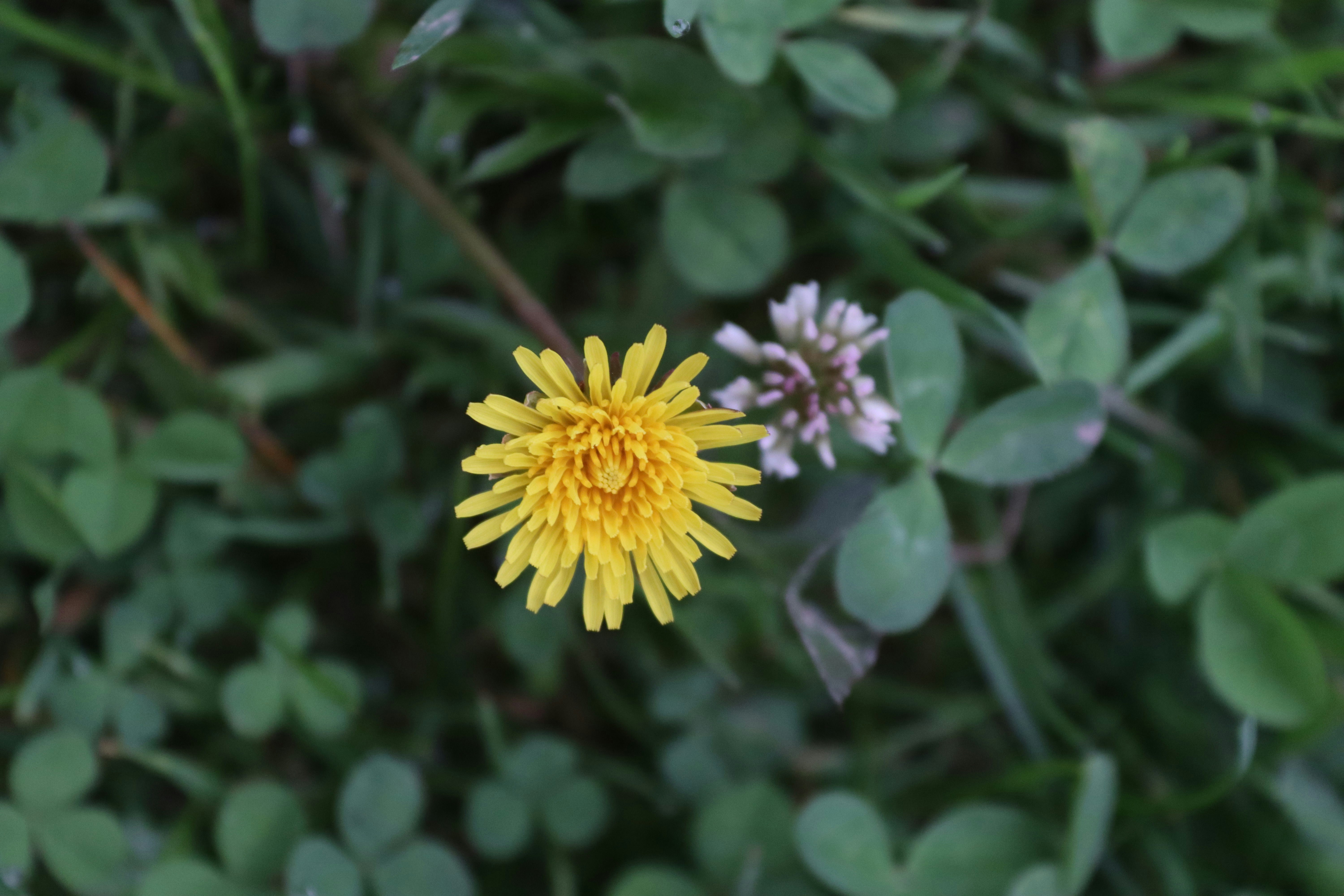 Photo by drphotographer152