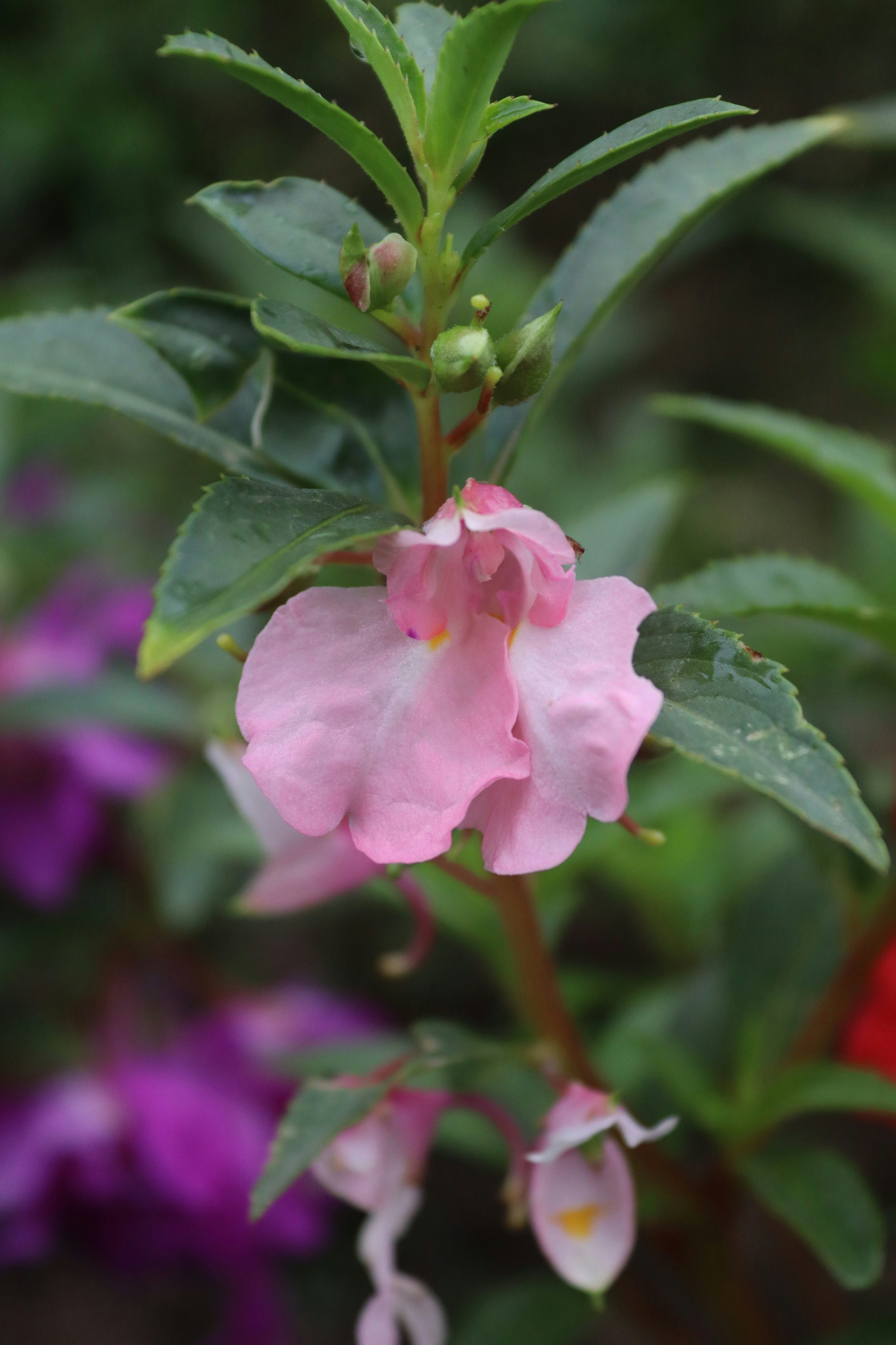 Photo by drphotographer152