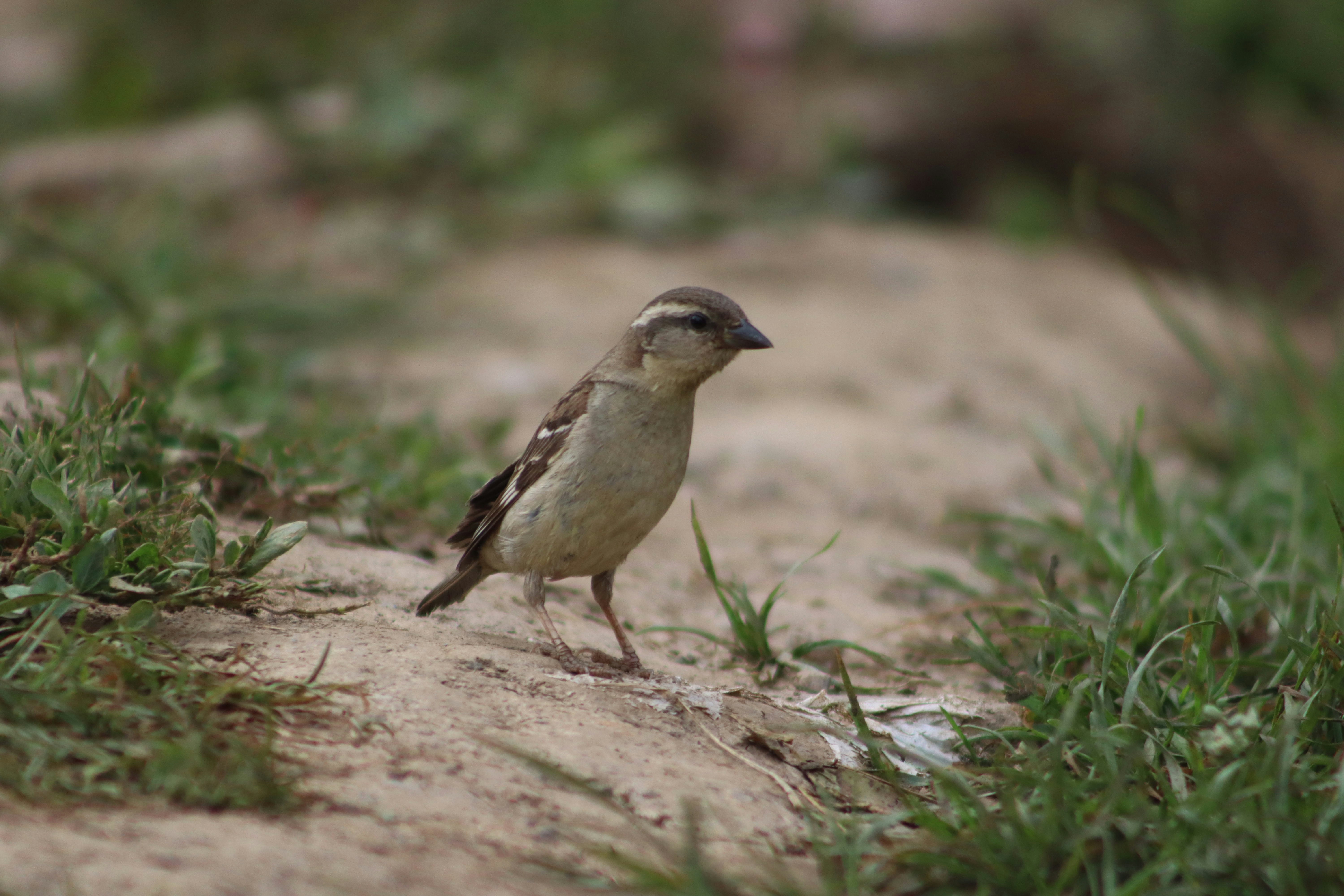 Photo by drphotographer152