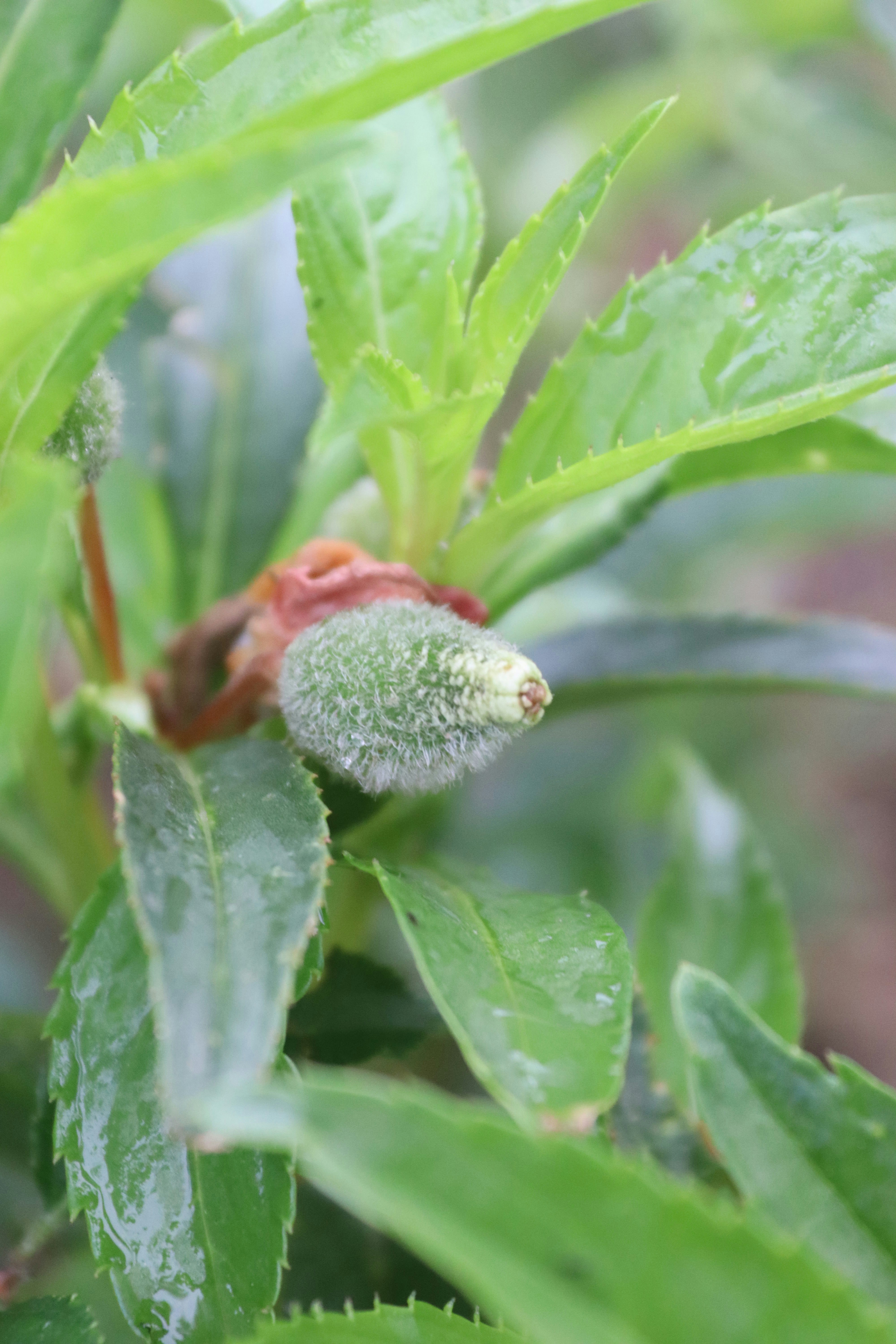 Photo by drphotographer152