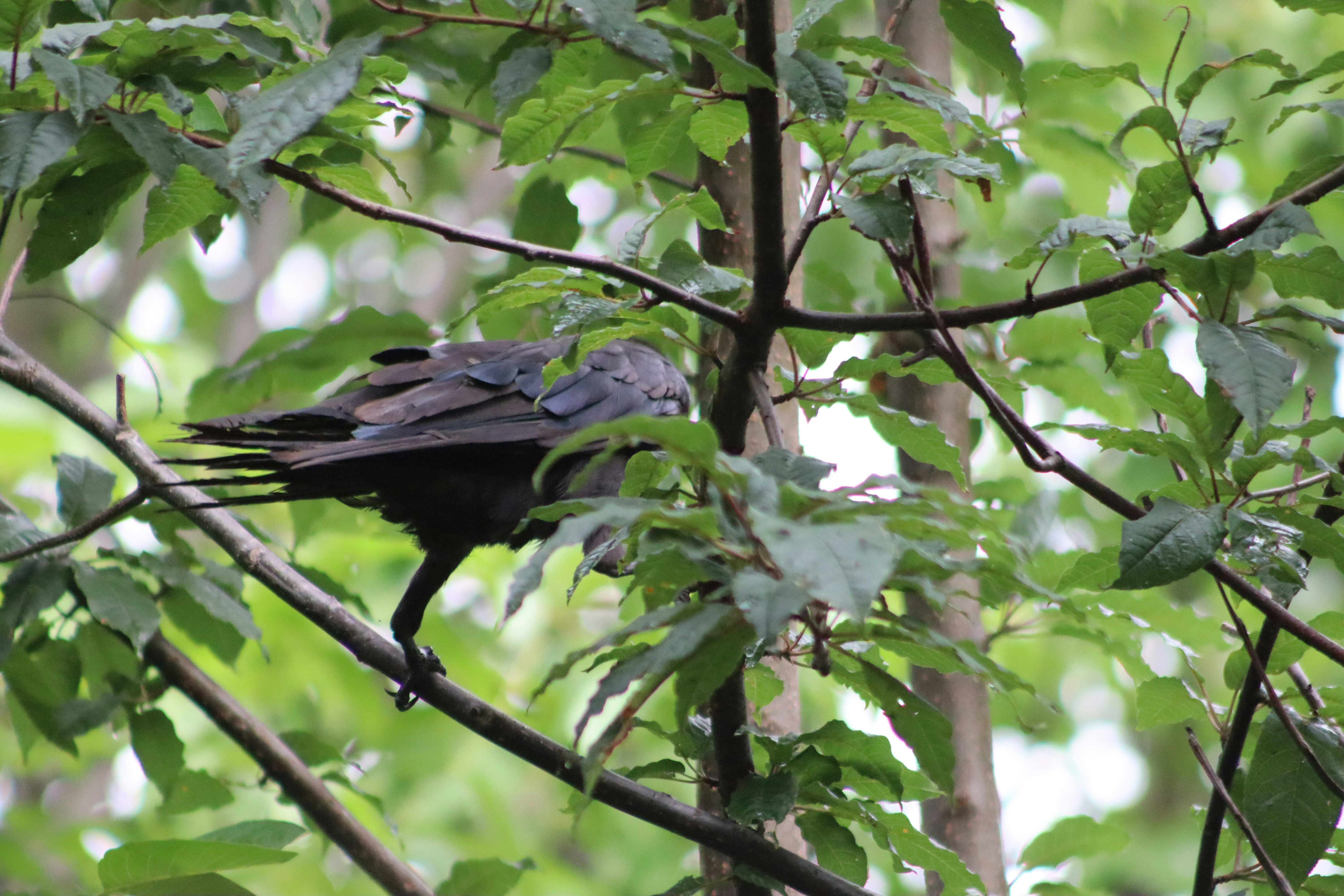 Photo by drphotographer152