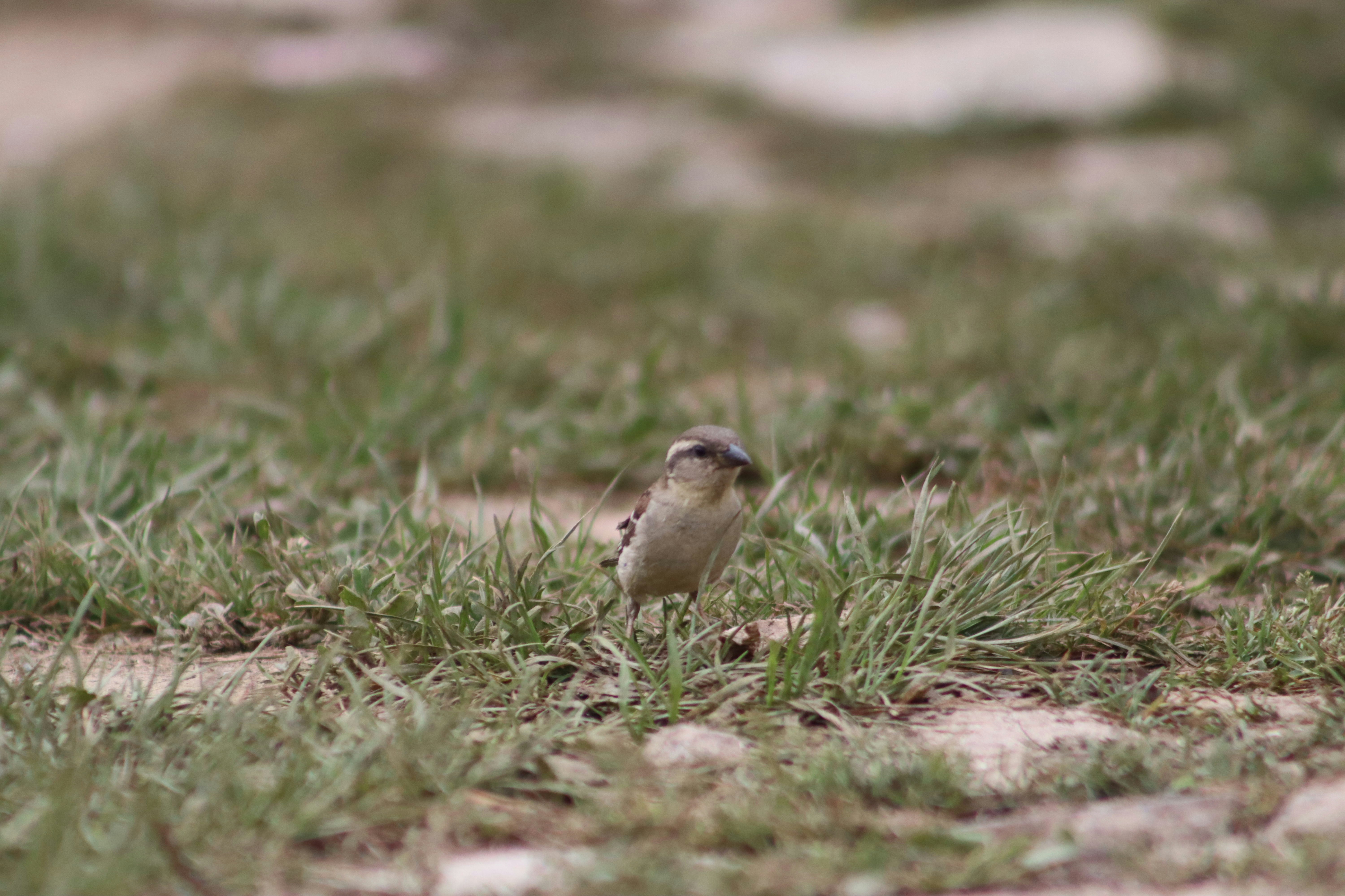 Photo by drphotographer152