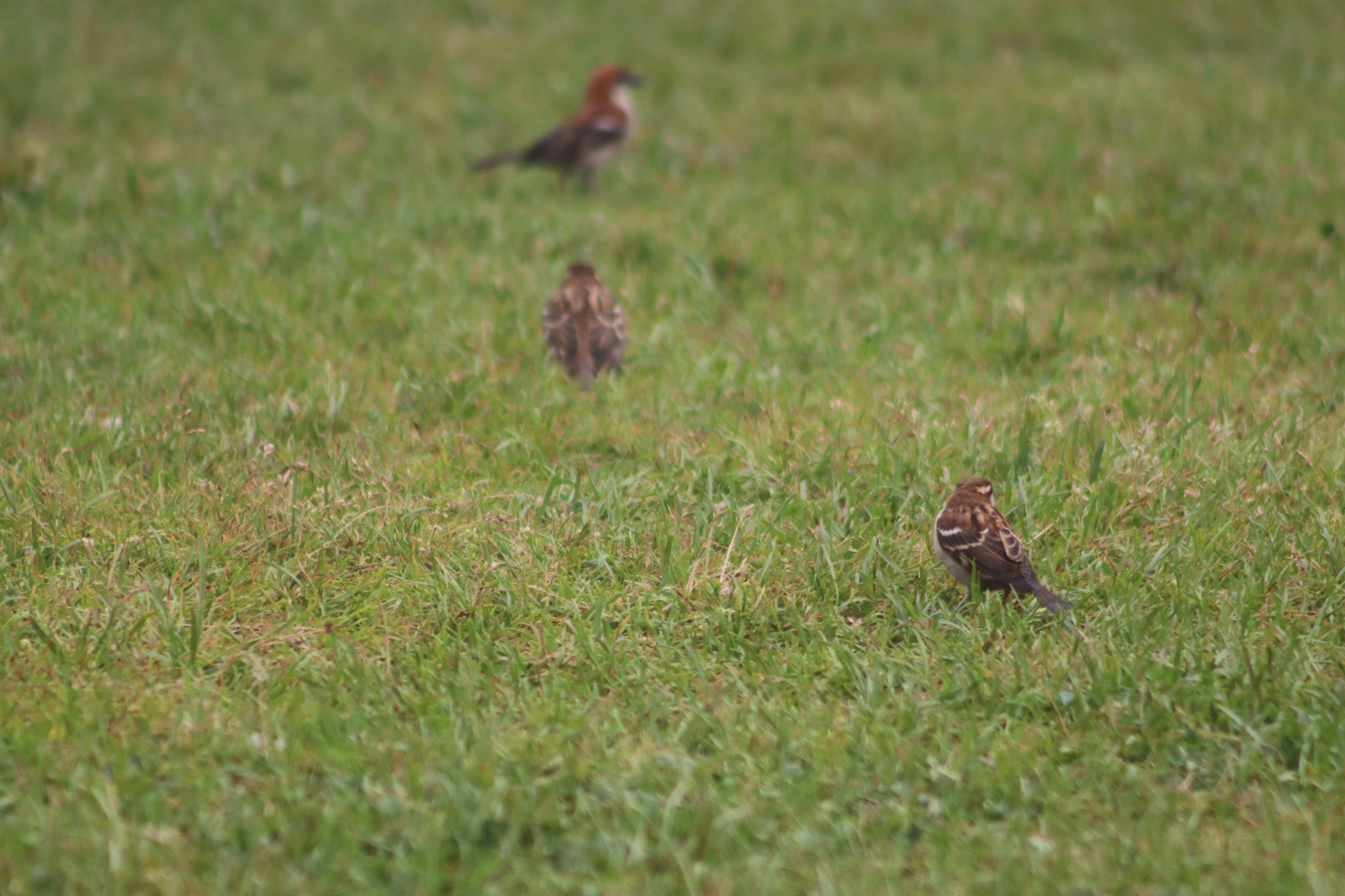 Photo by drphotographer152