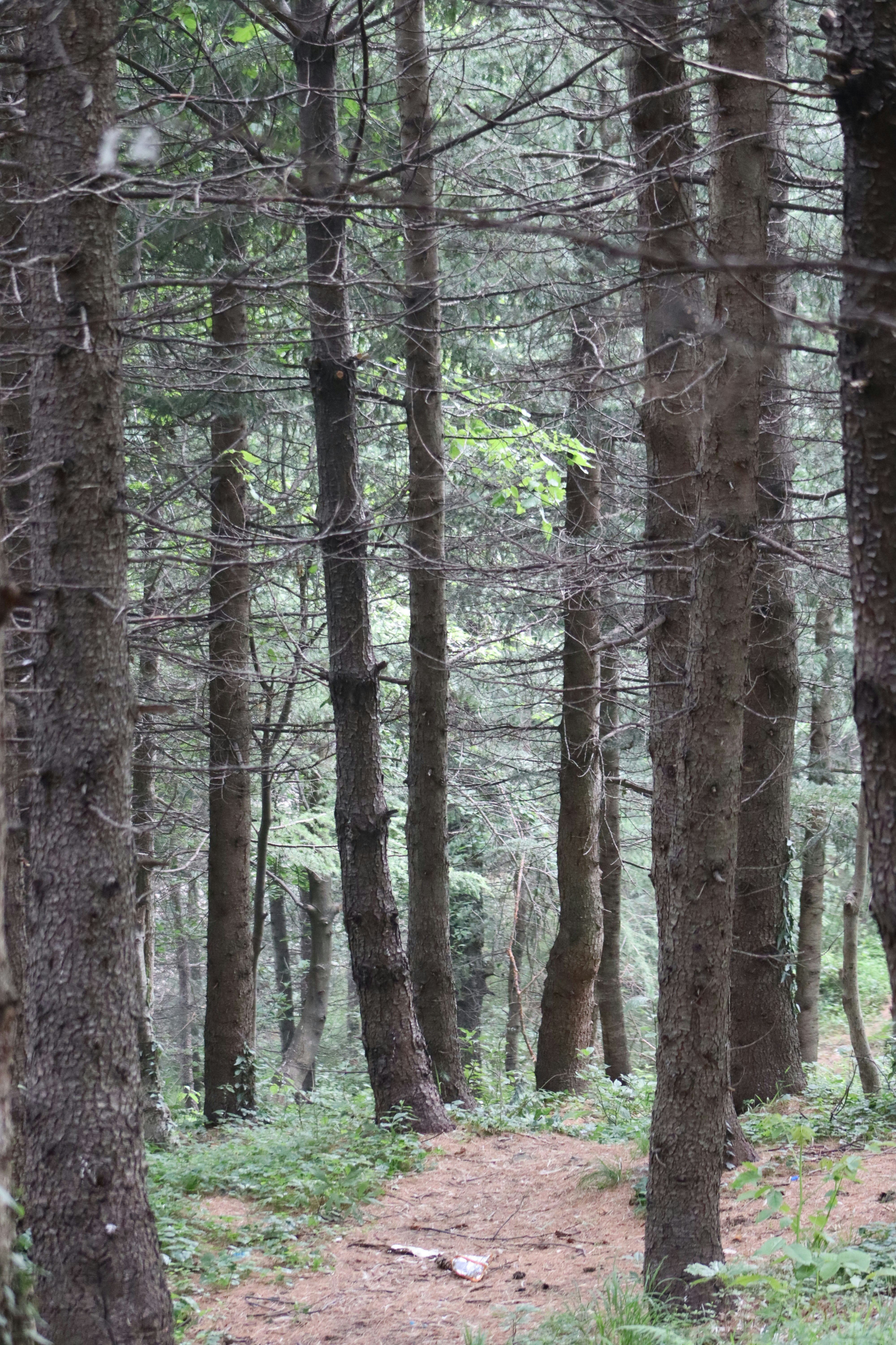 Photo by drphotographer152