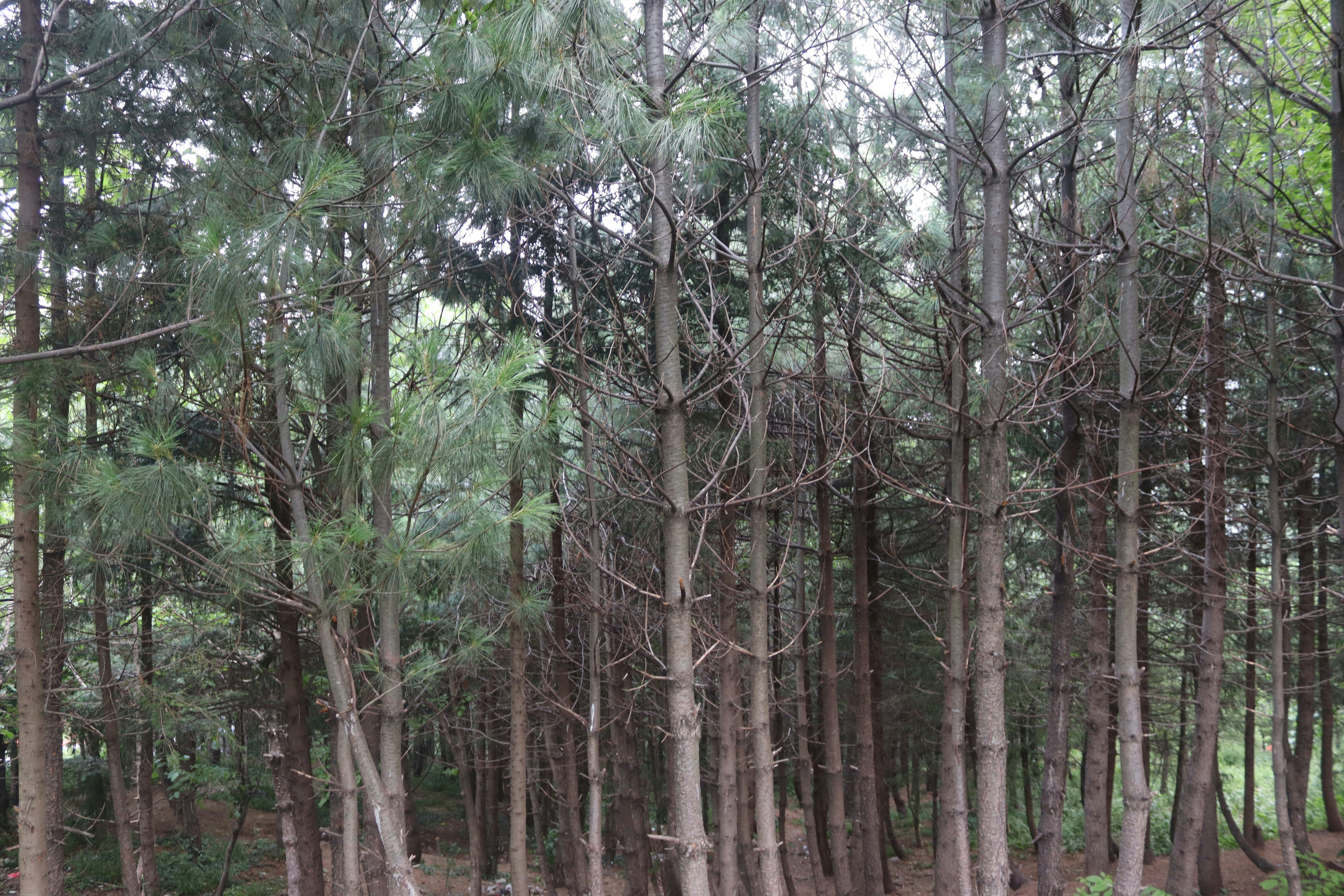 Photo by drphotographer152