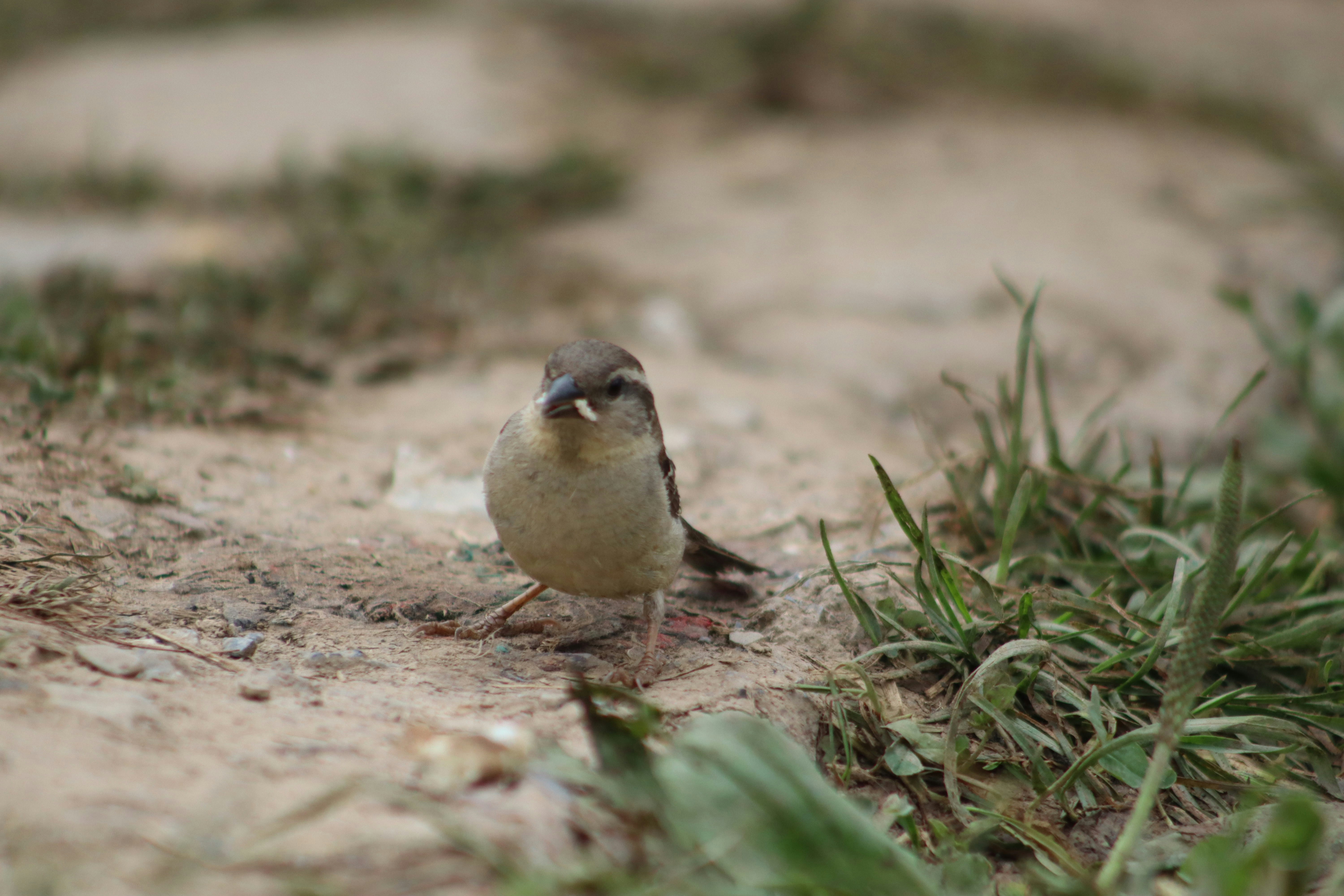 Photo by drphotographer152