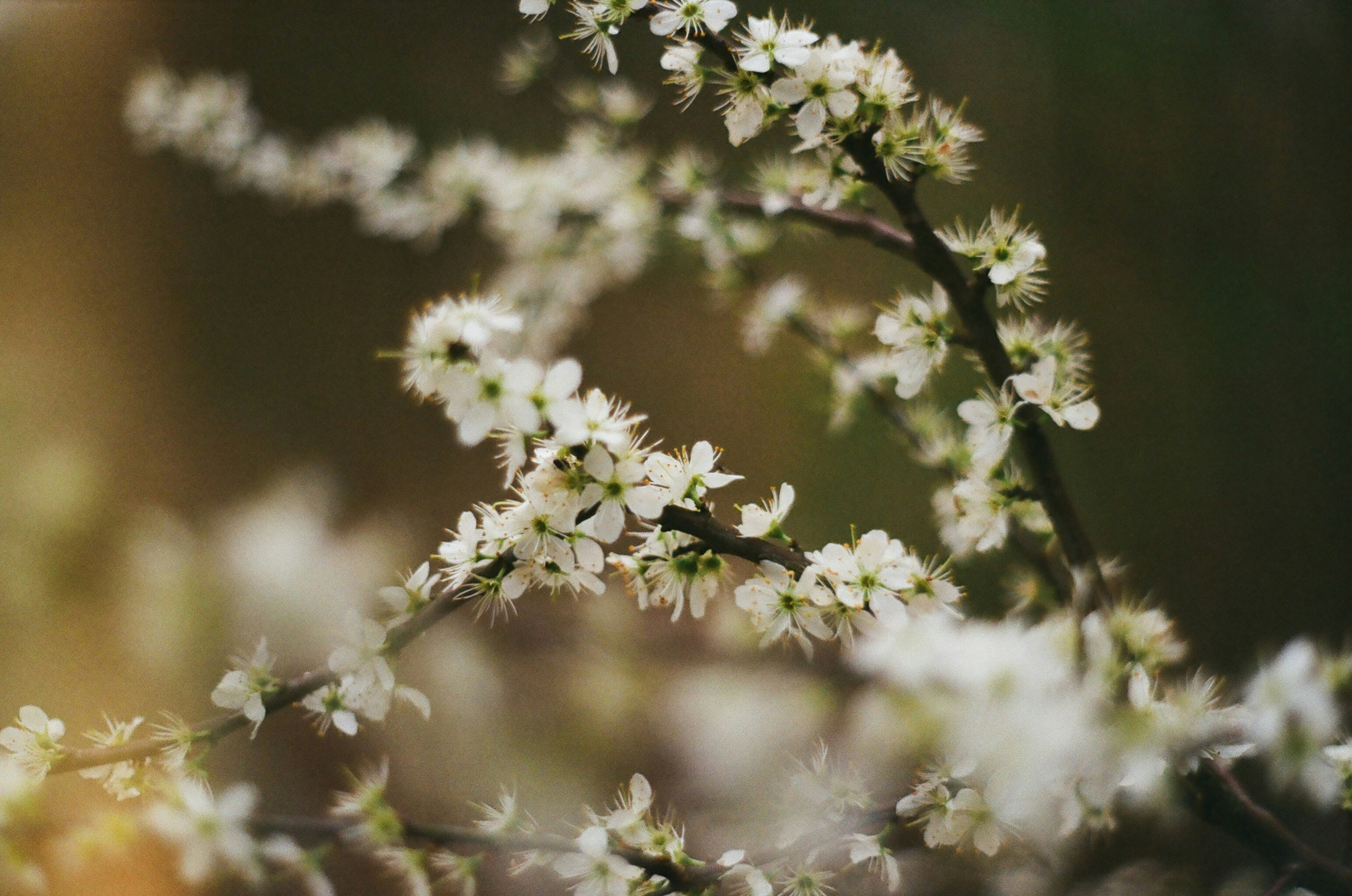 Photo by simeonduwel