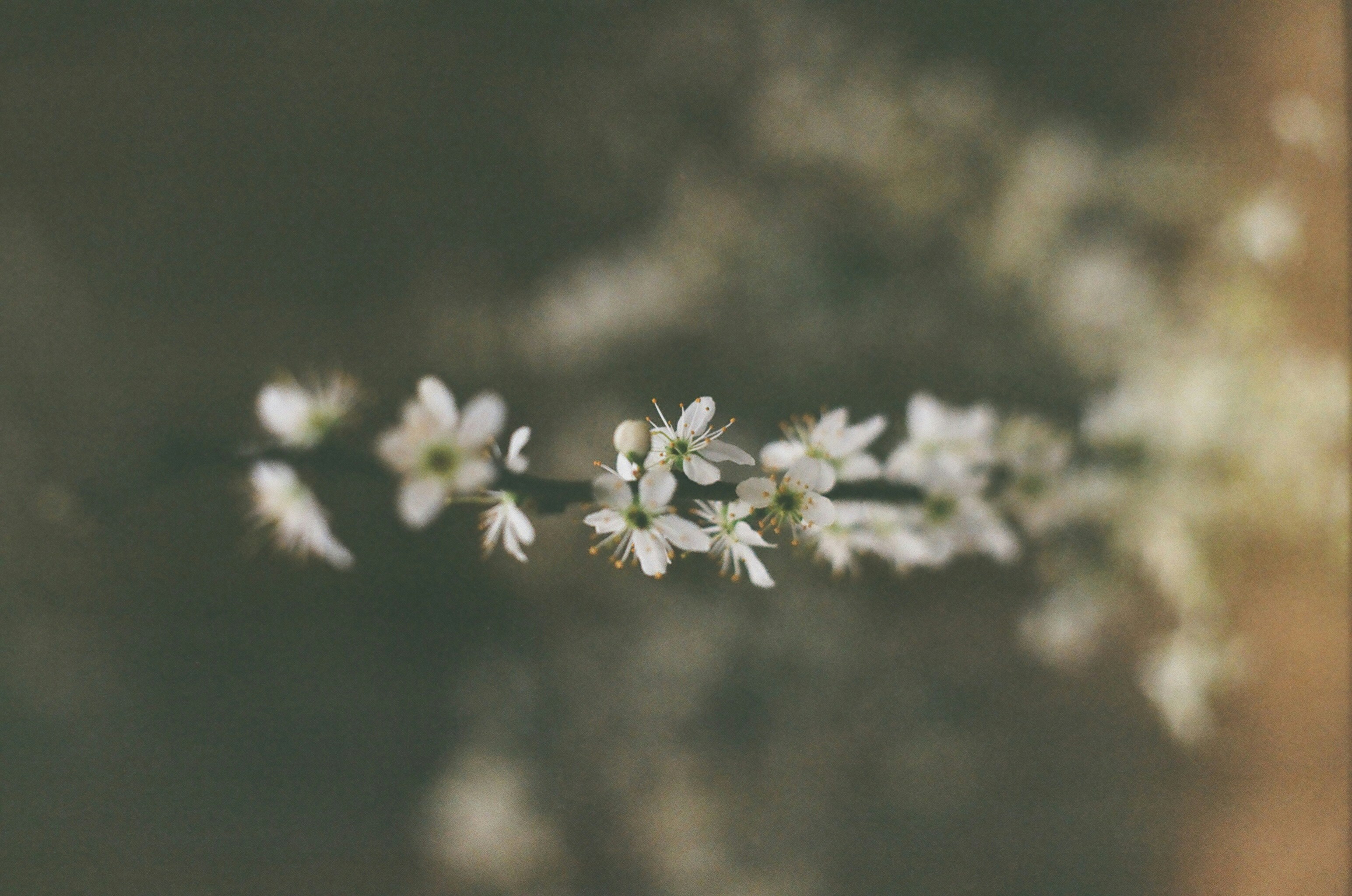 Photo by simeonduwel