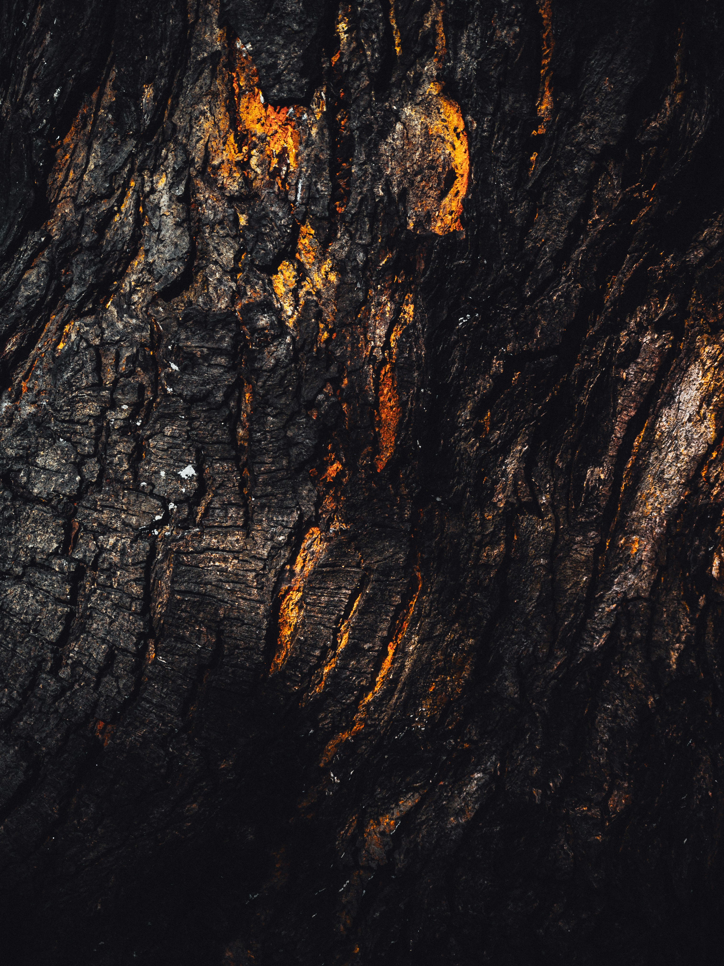 Photo by amritanshdubey