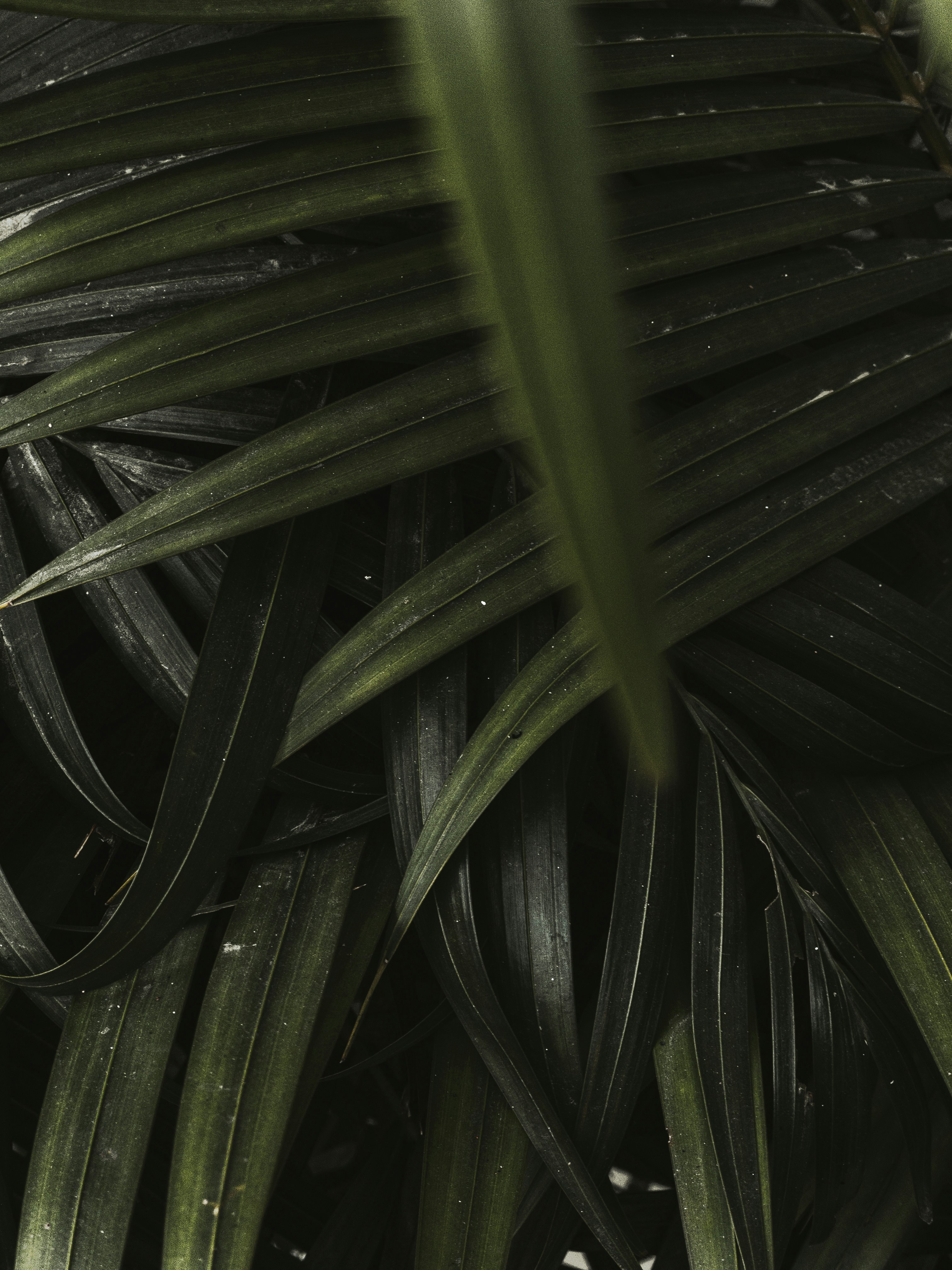 Photo by amritanshdubey