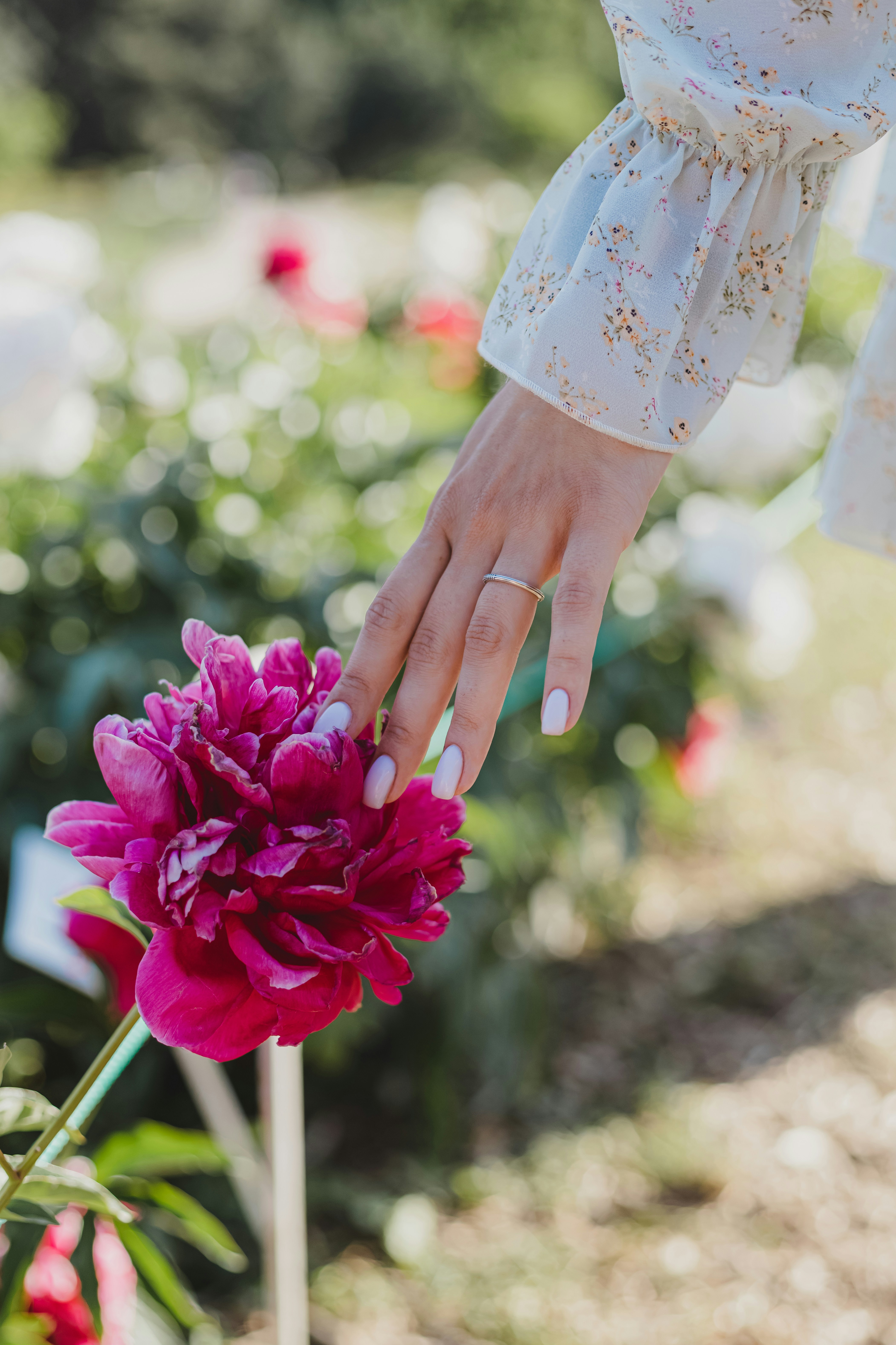 A close up of a person touching a flower