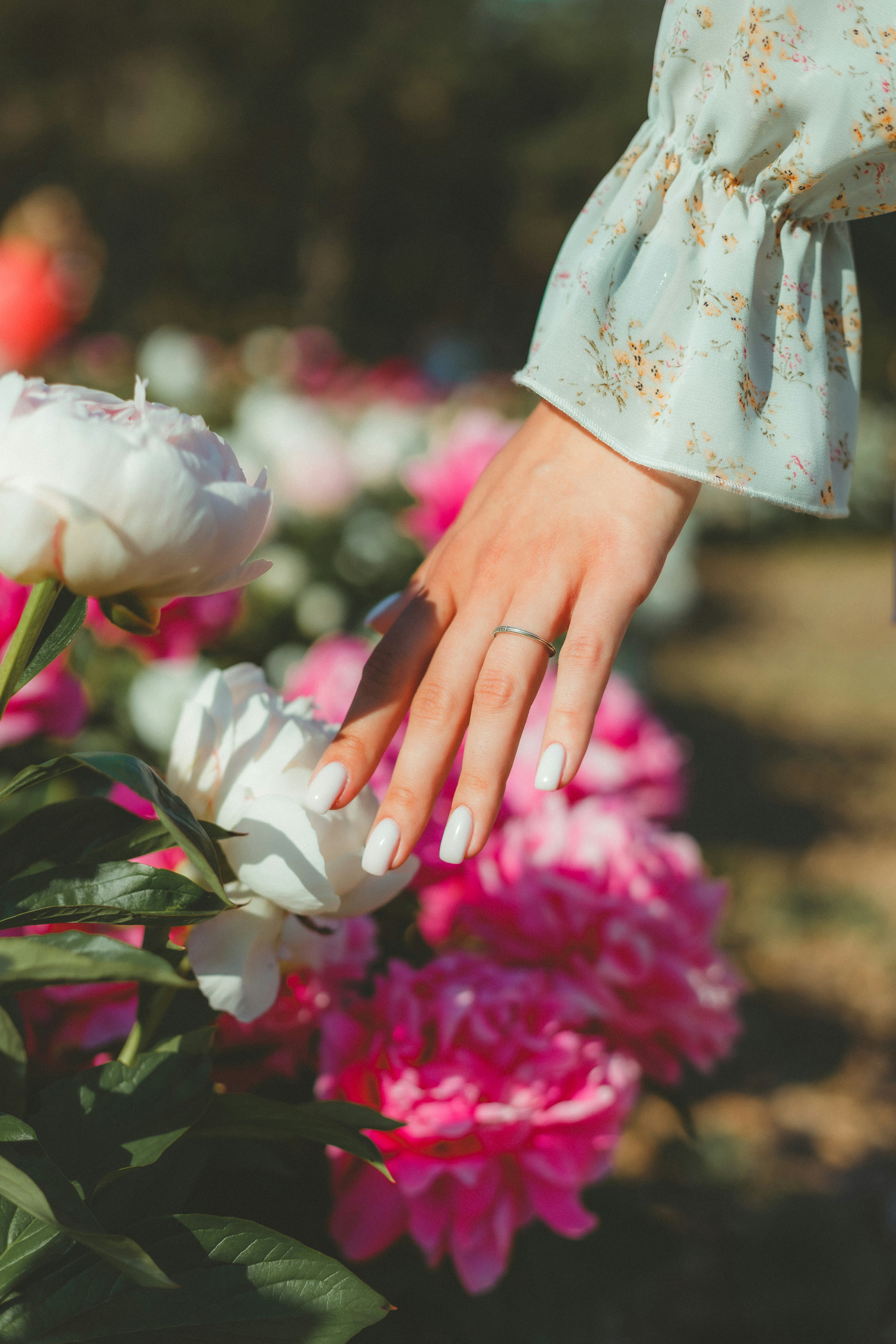 A close up of a person touching a flower