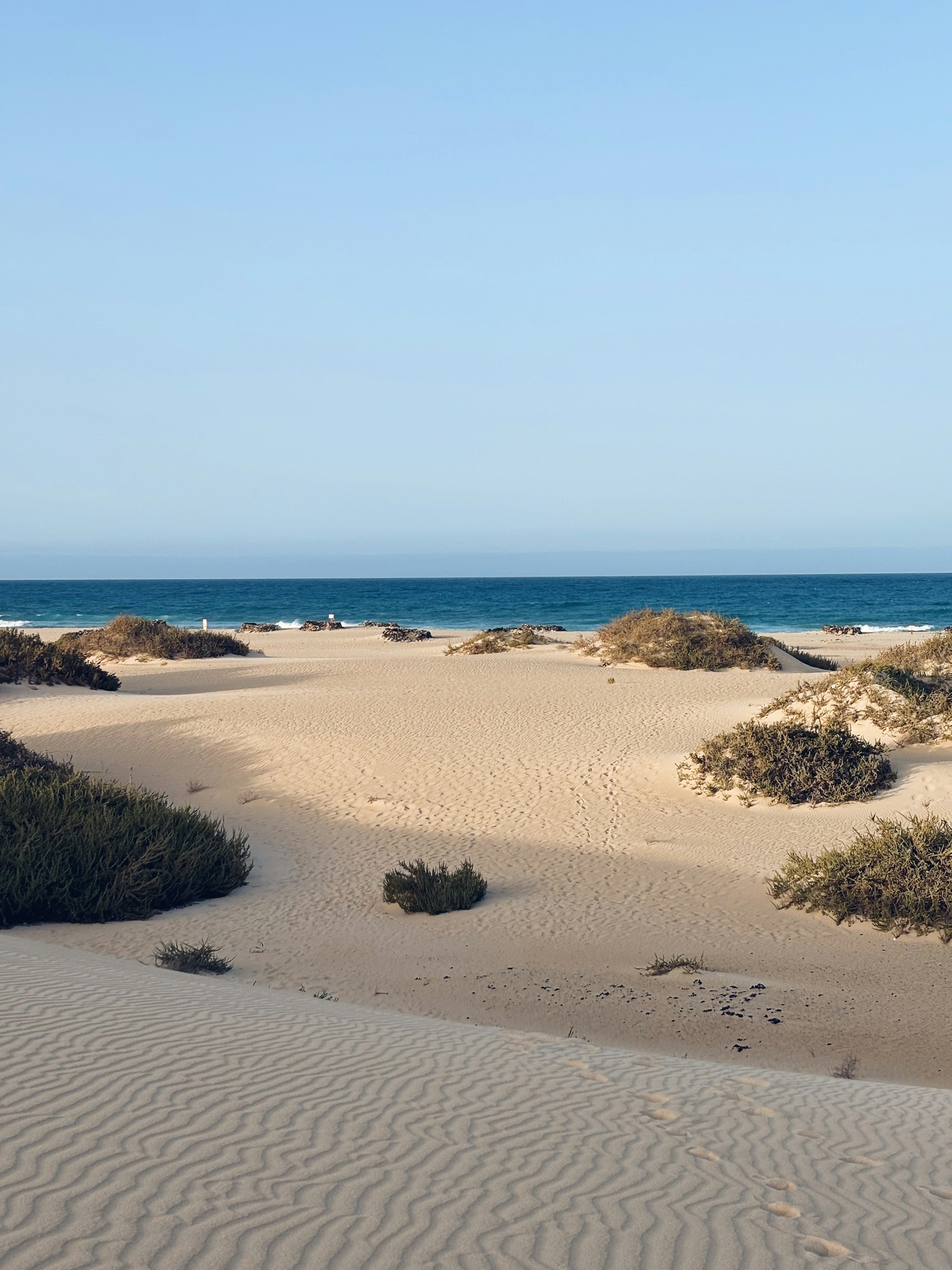 A sandy beach with a blue ocean in the background