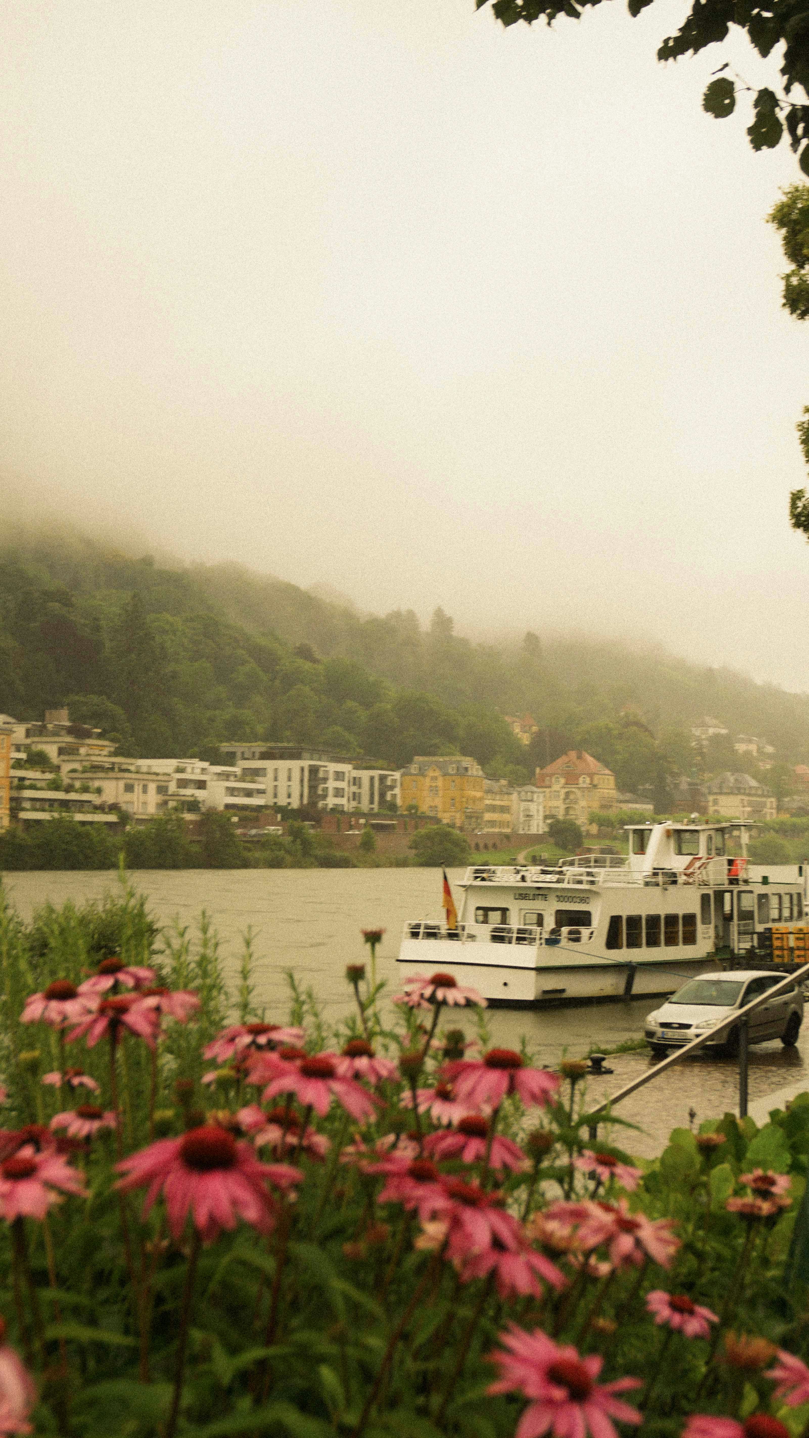 Photo by anjaleemingbecker