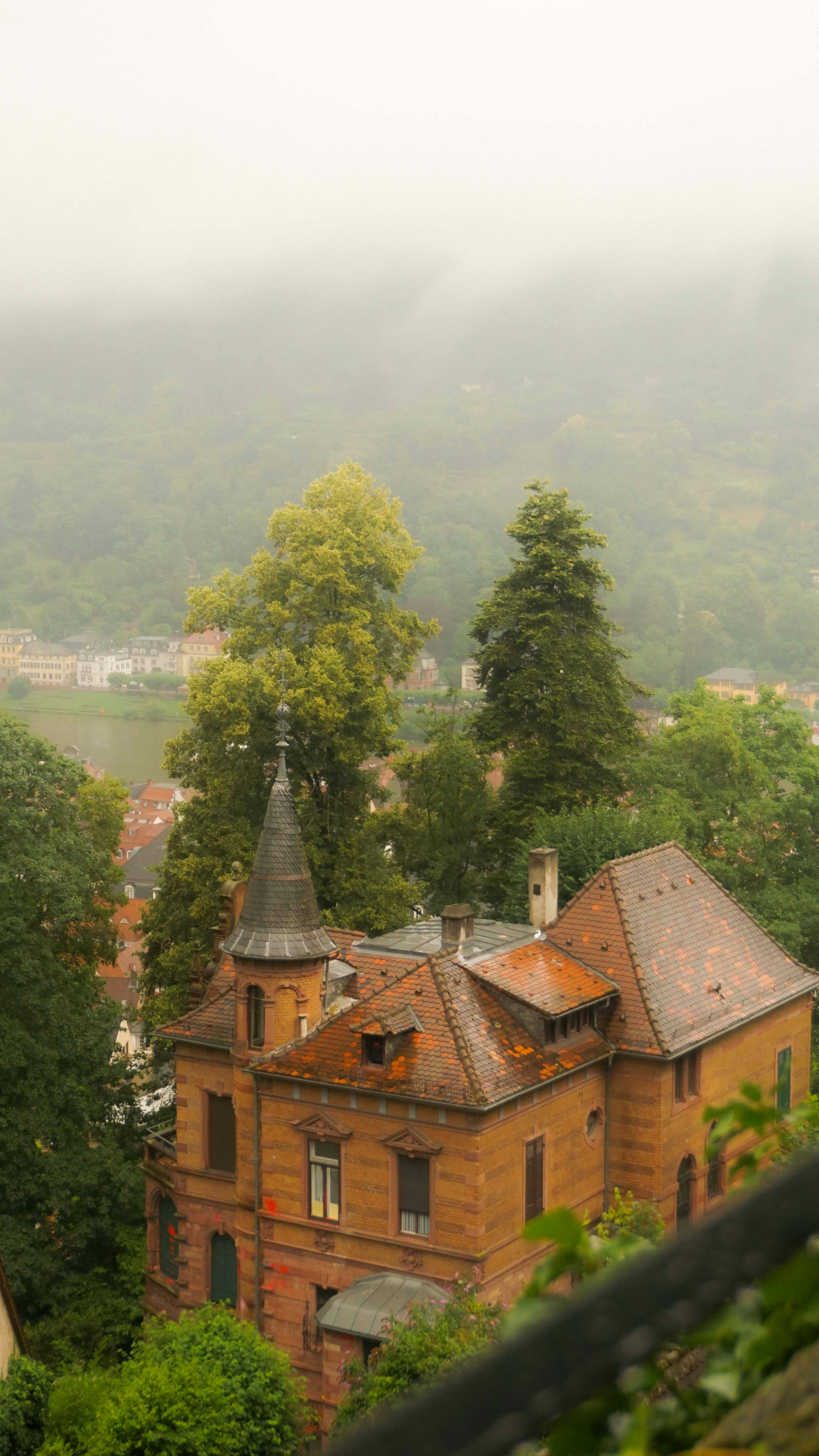 Photo by anjaleemingbecker