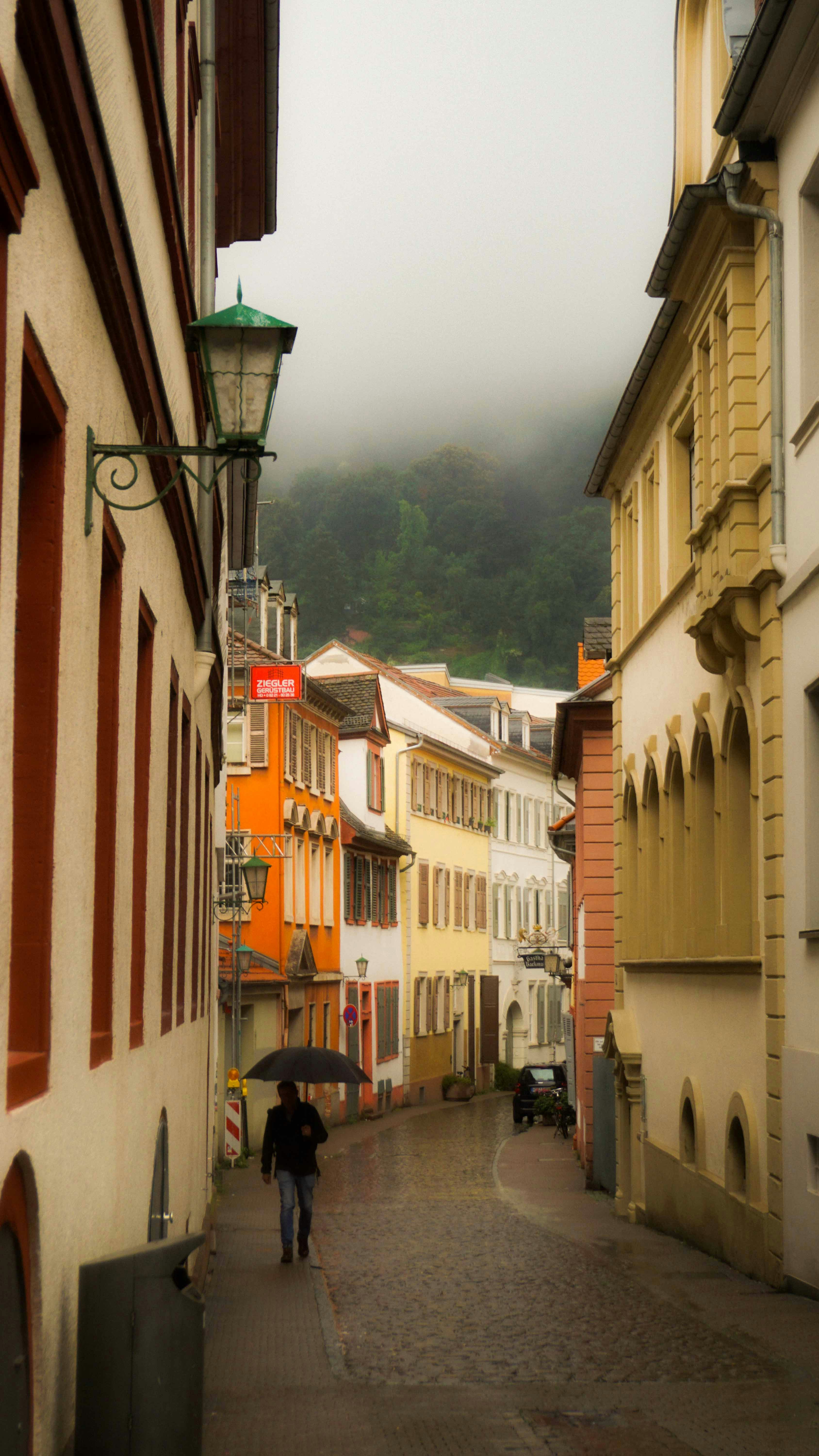 Photo by anjaleemingbecker