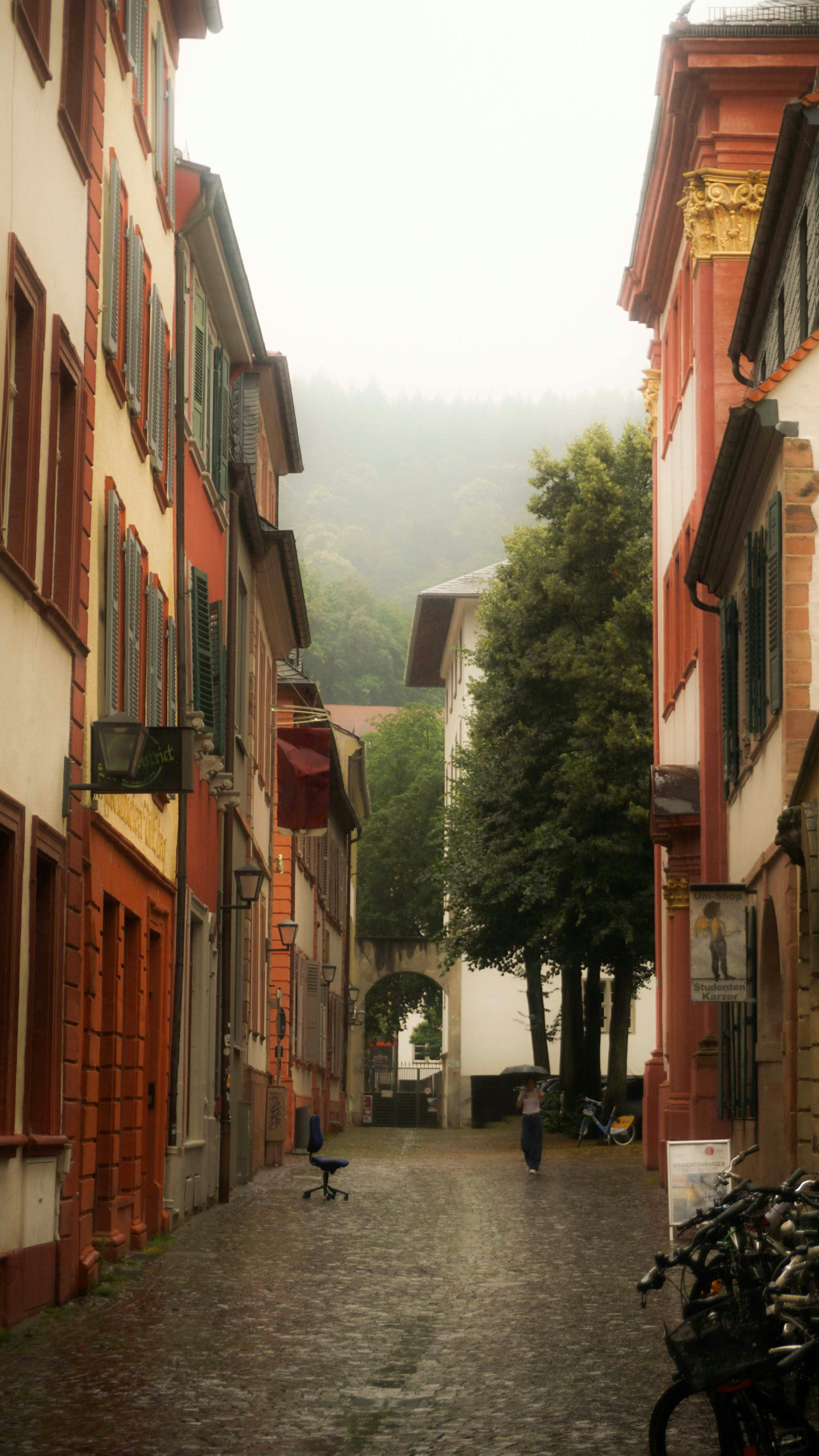 Photo by anjaleemingbecker