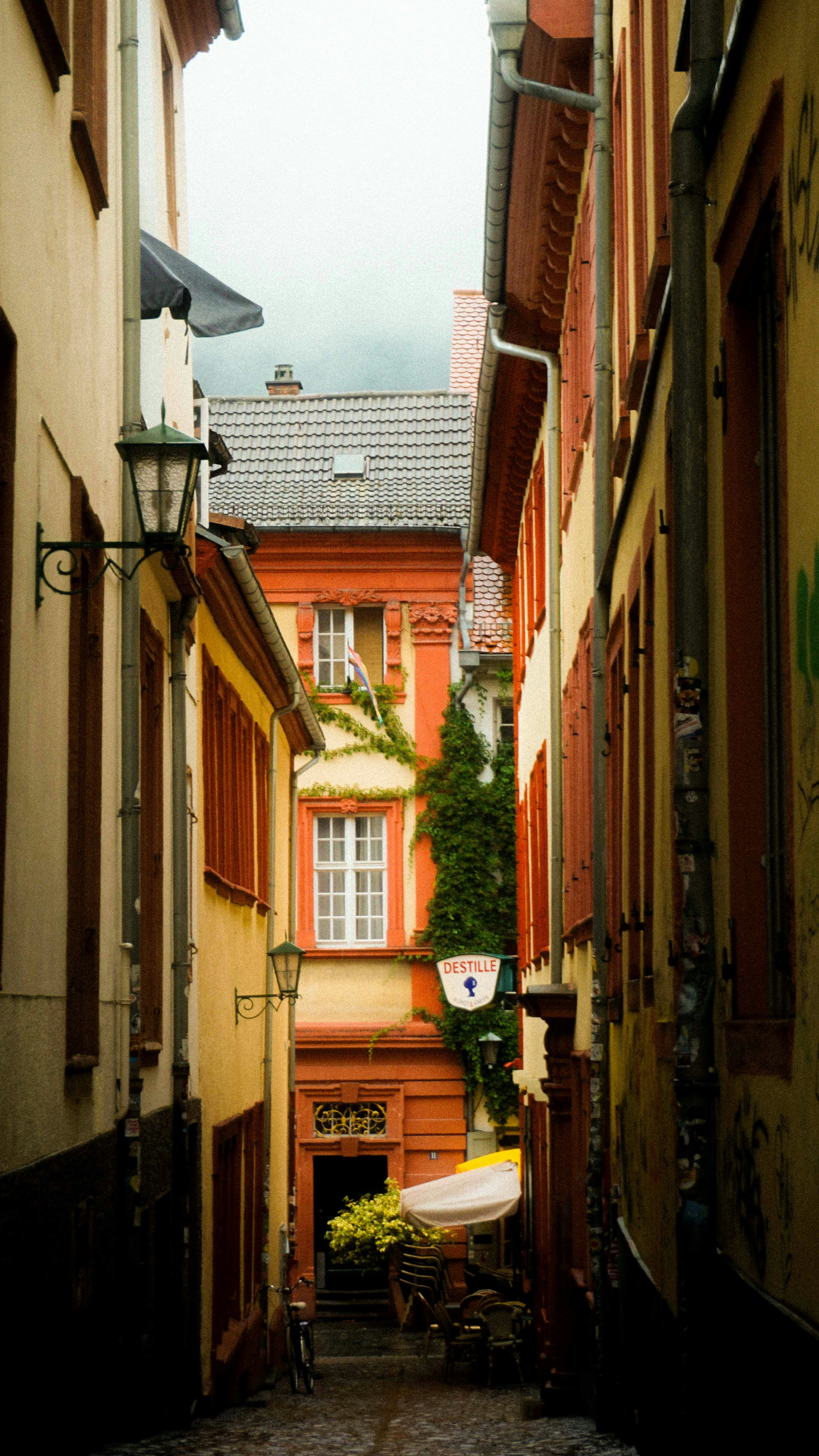 Photo by anjaleemingbecker