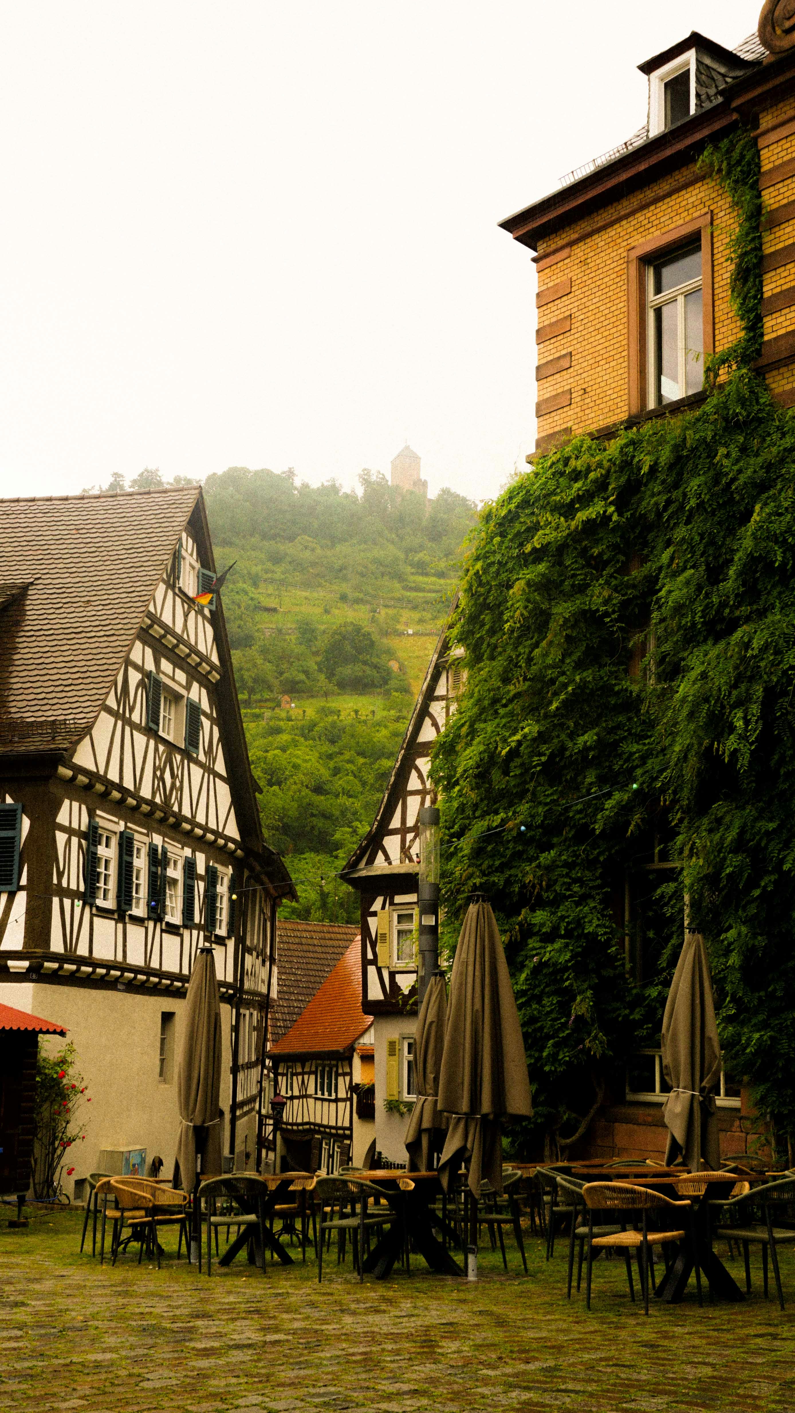 Photo by anjaleemingbecker