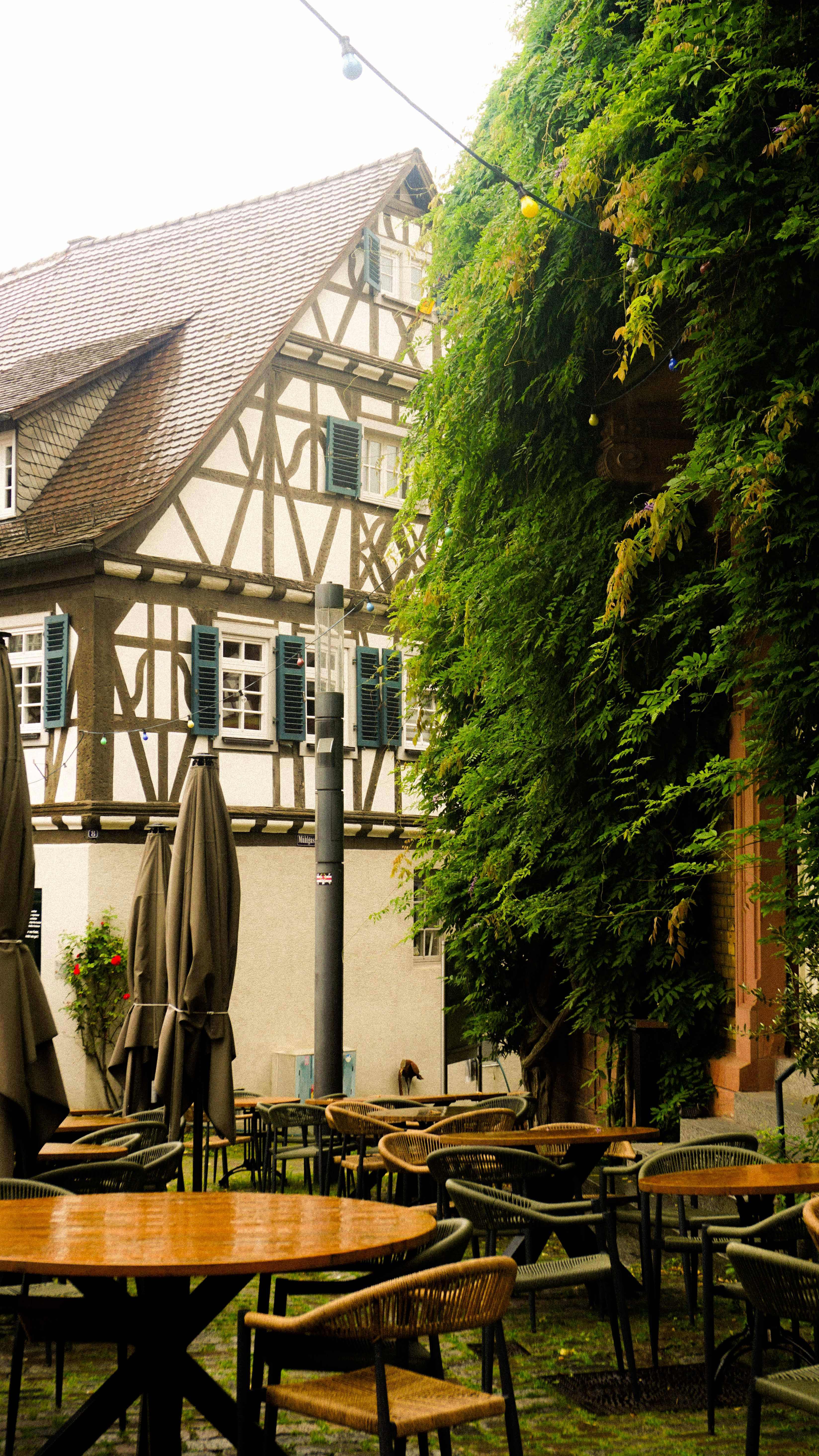 Photo by anjaleemingbecker