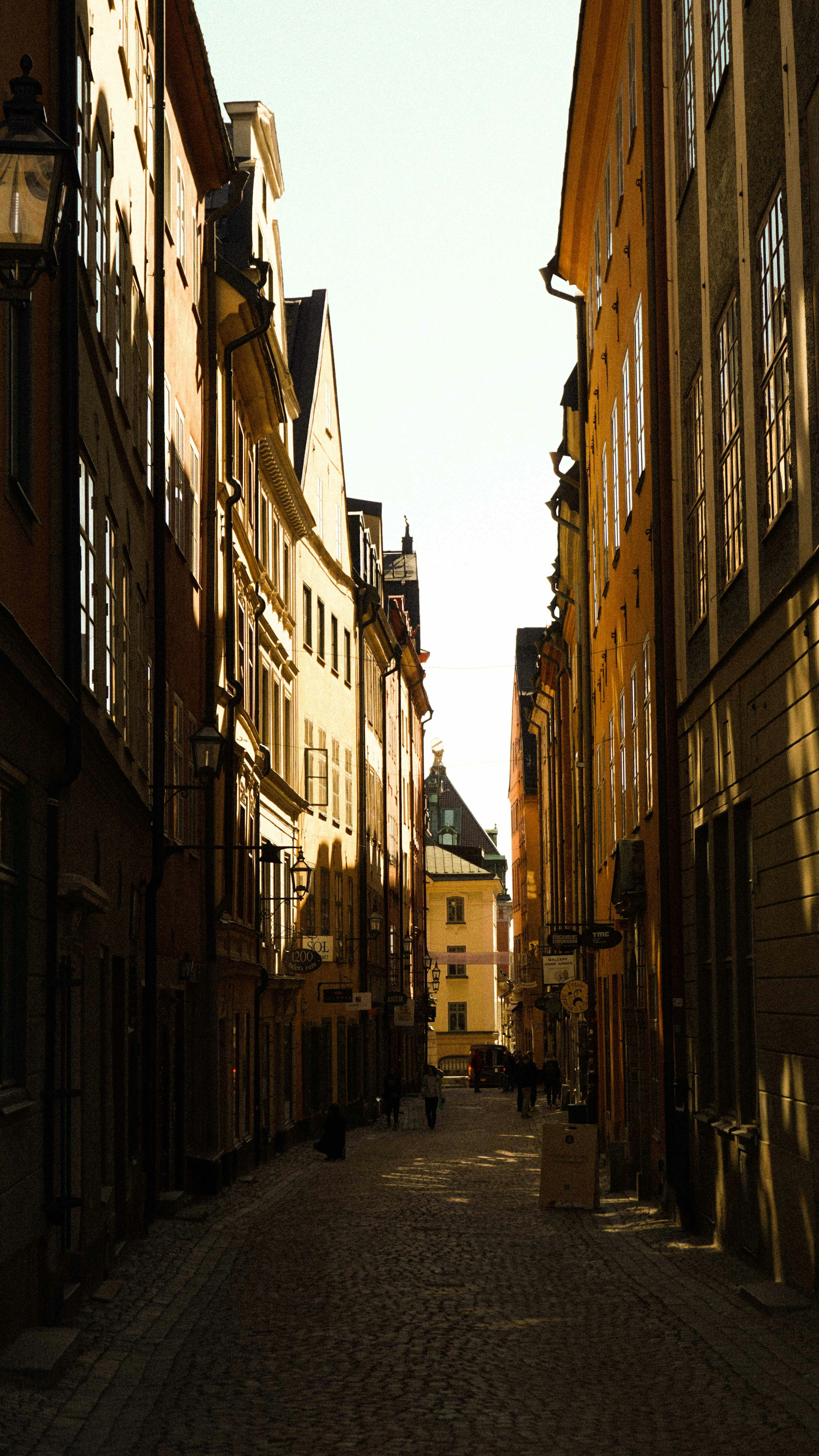 Photo by anjaleemingbecker