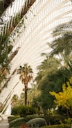 A man riding a skateboard down a street next to palm trees