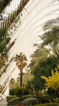 A man riding a skateboard down a street next to palm trees