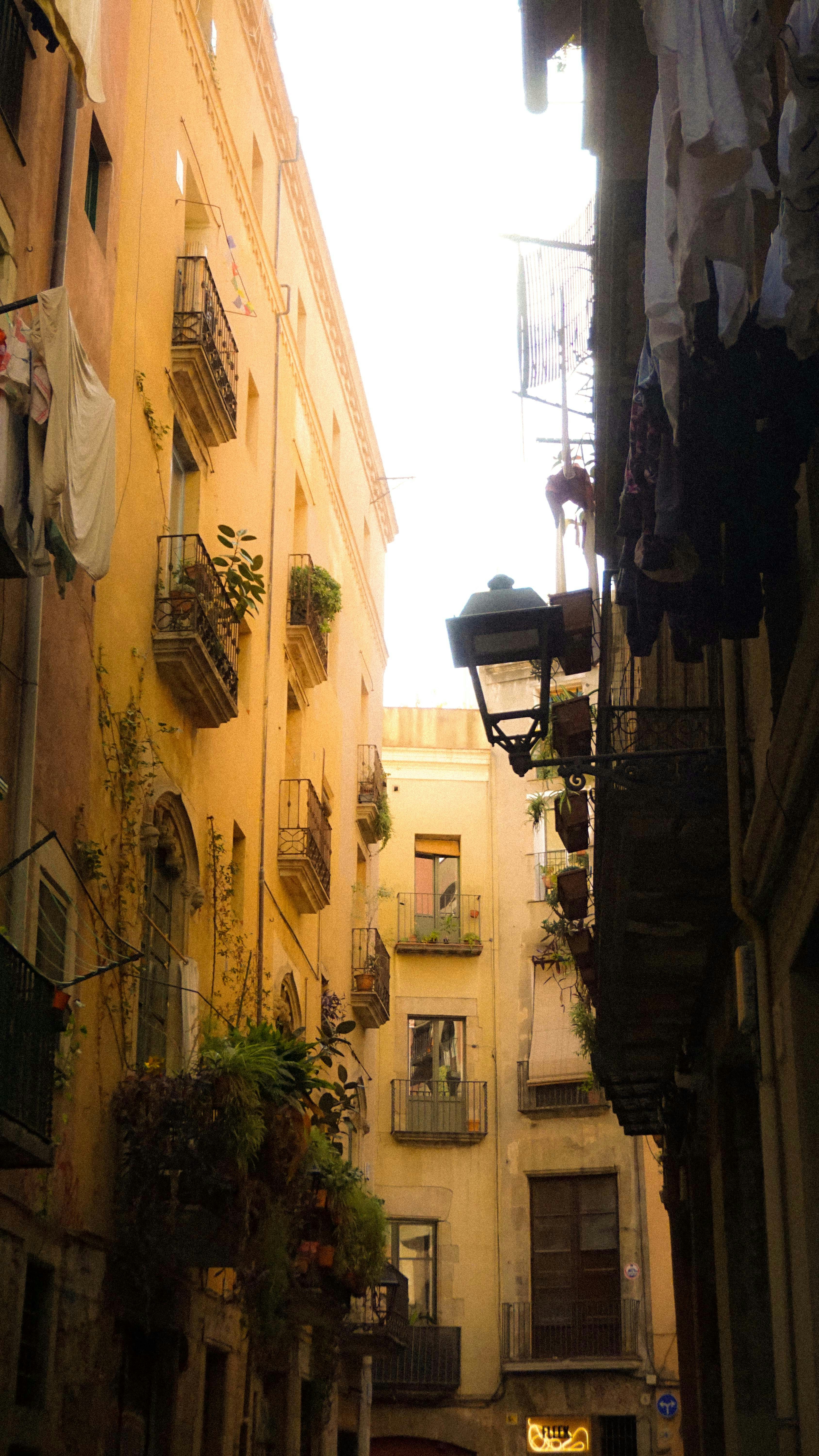 Photo by anjaleemingbecker