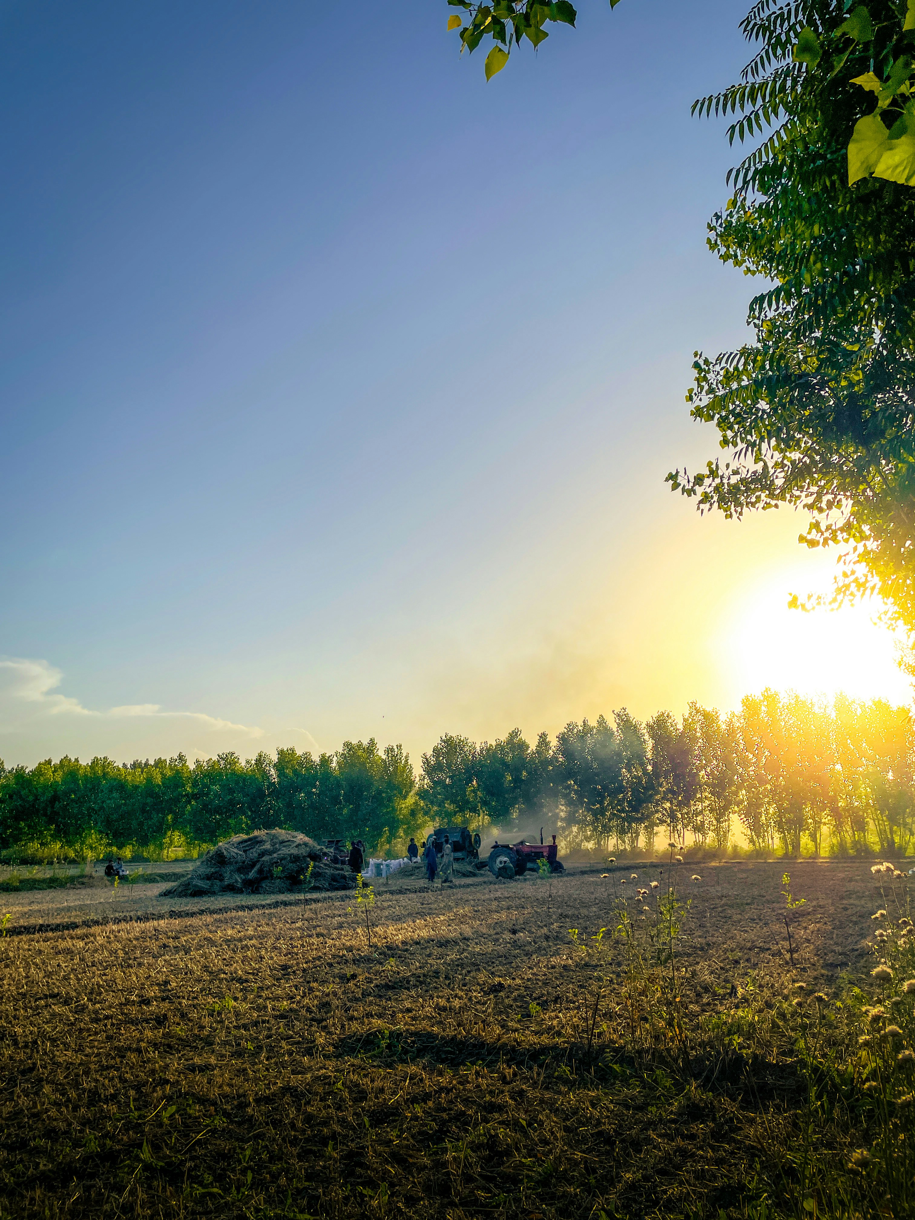 Photo by adnanxgallery