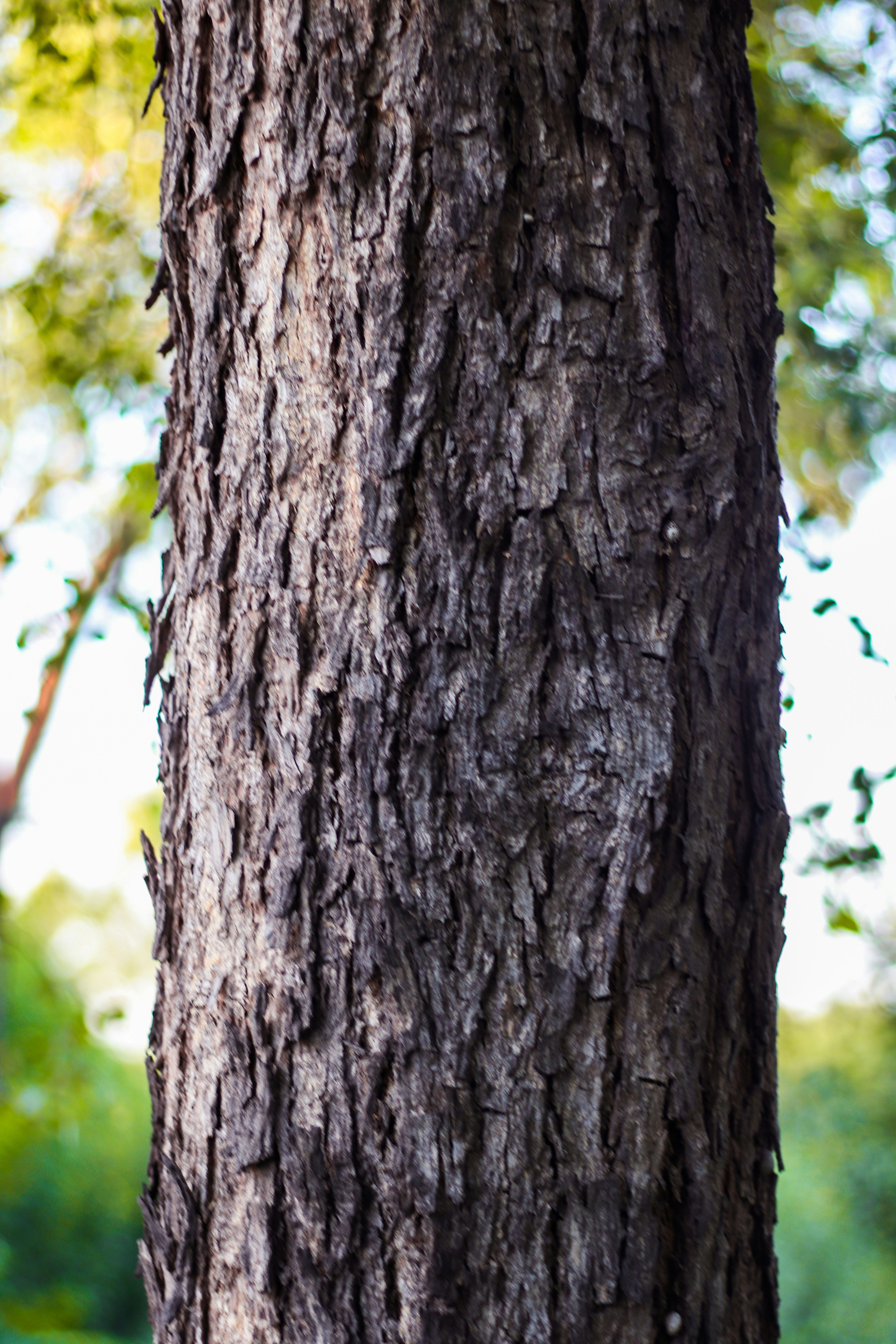 Photo by adnanxgallery