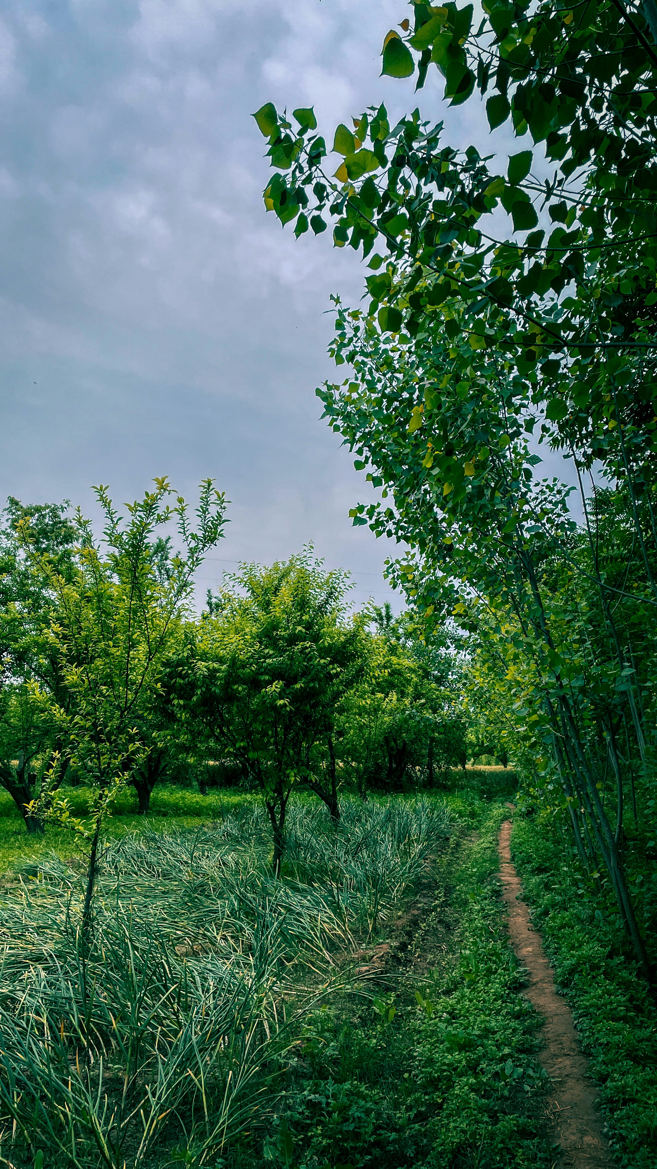 Photo by adnanxgallery