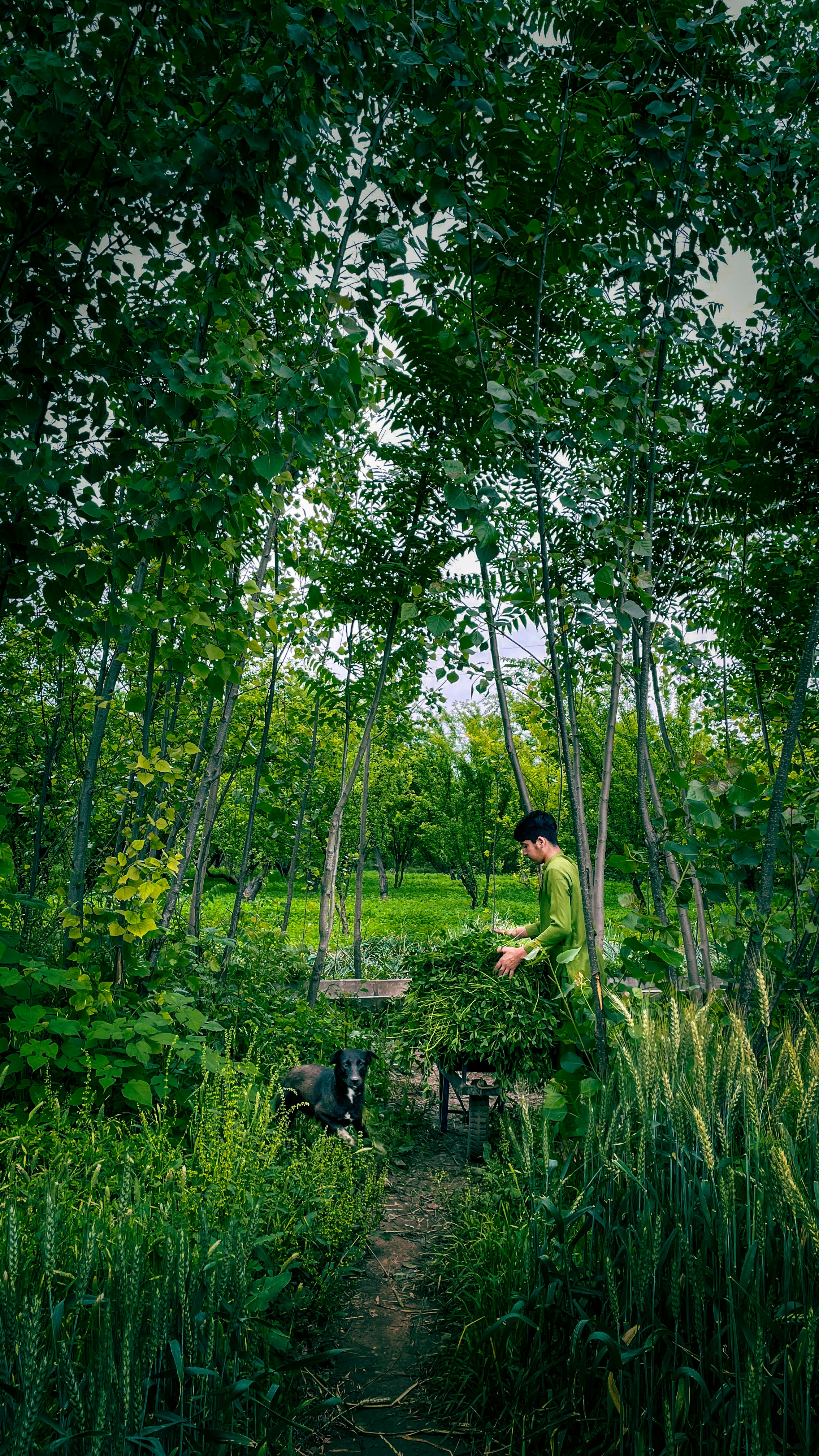 Photo by adnanxgallery