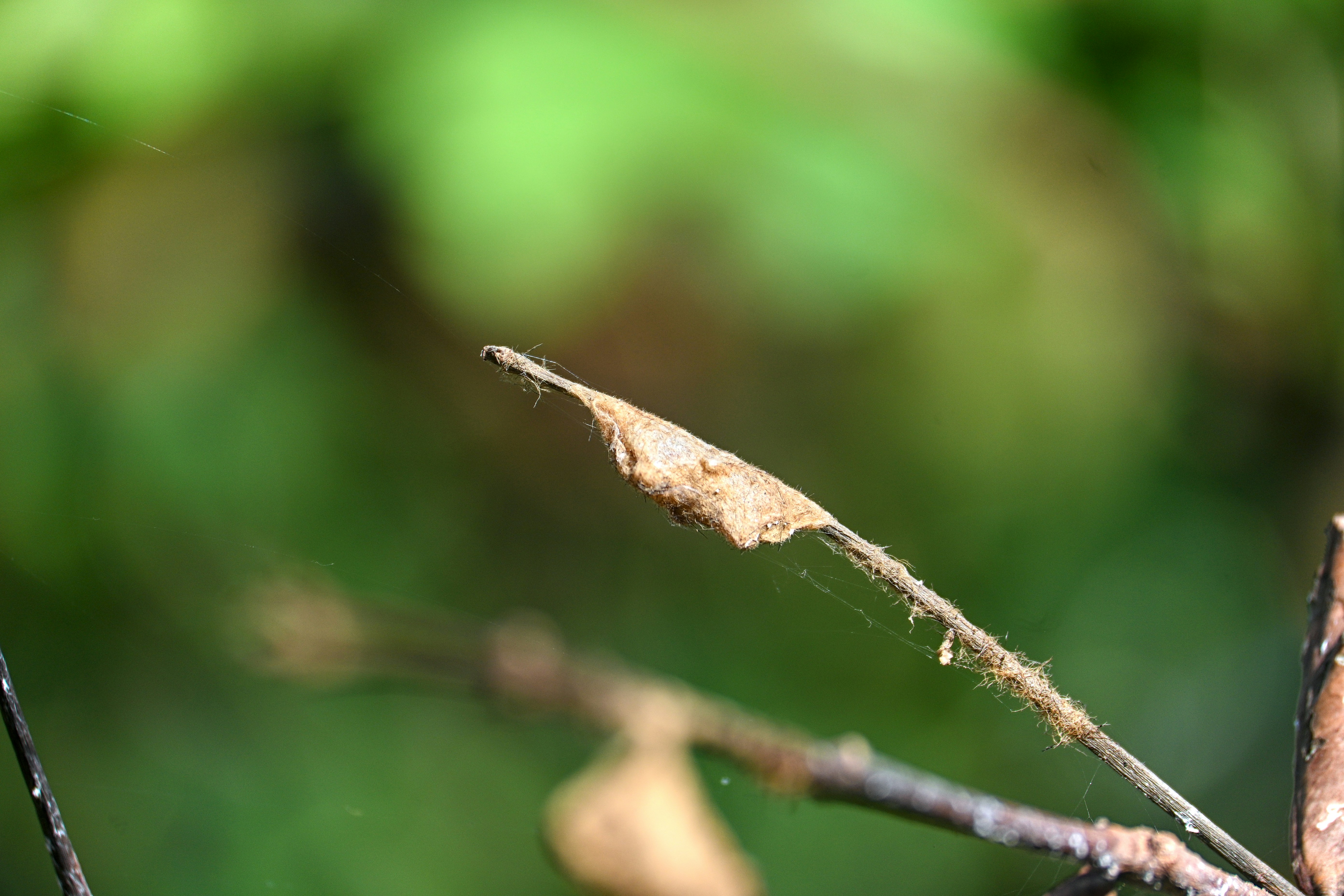 L’intelligence artificielle transforme l’enseignement supérieur sans le menacer