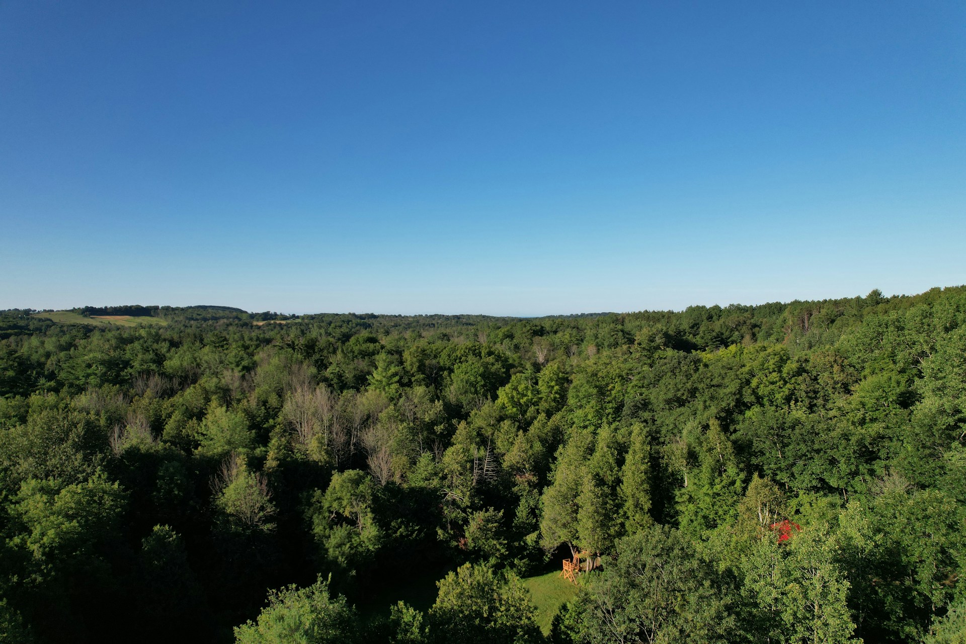An aerial view of a wooded area with trees