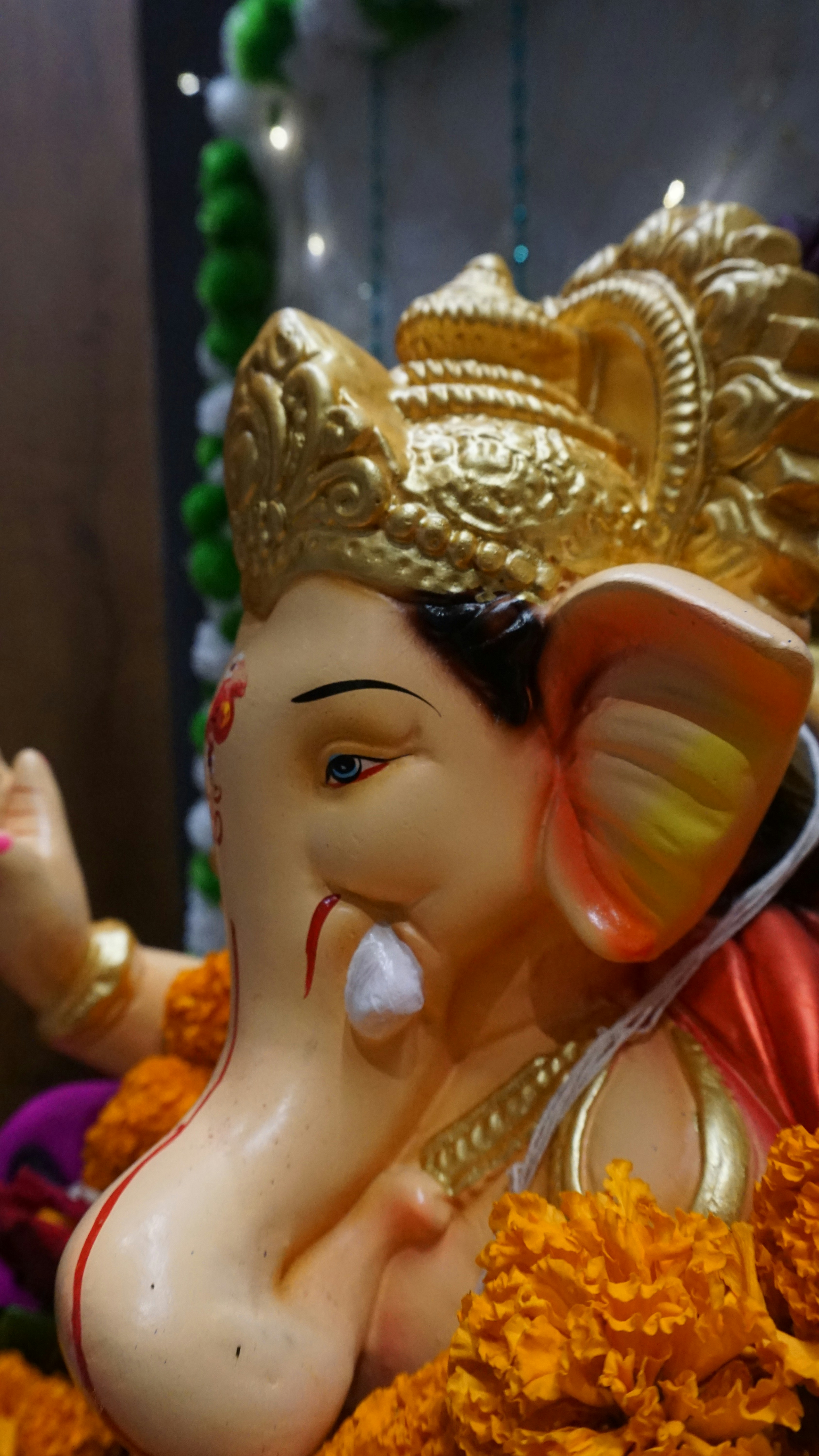 Photo by iamdhavalshah