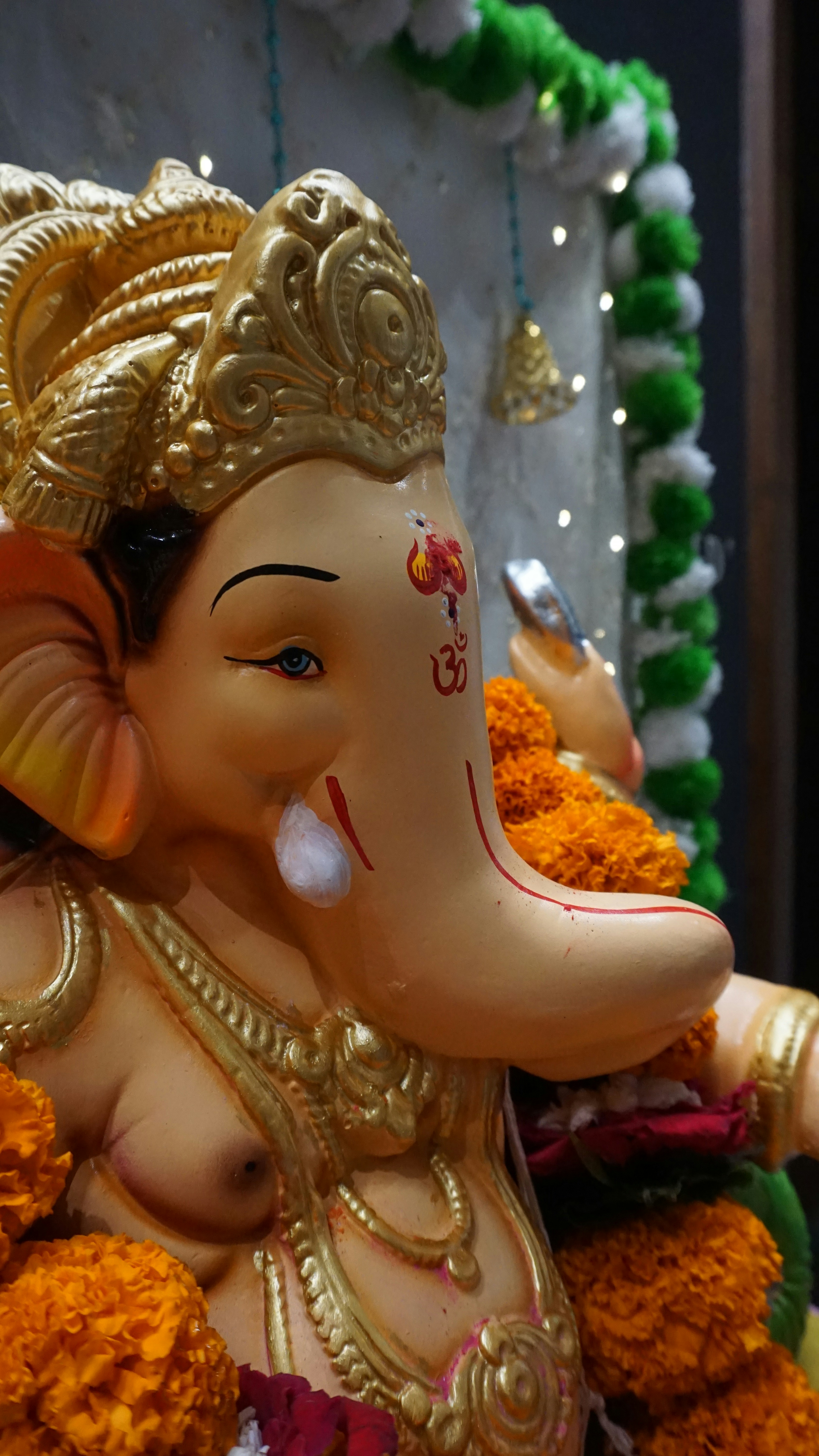 Photo by iamdhavalshah